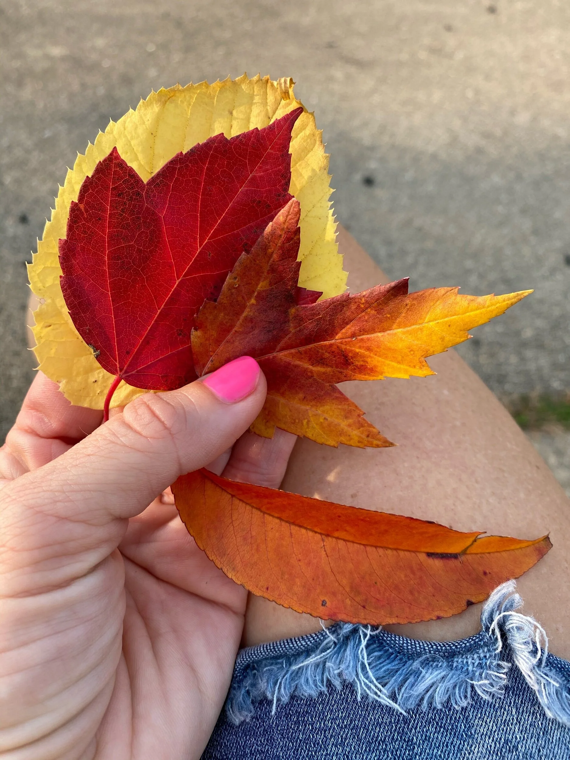 There’s something about Fall