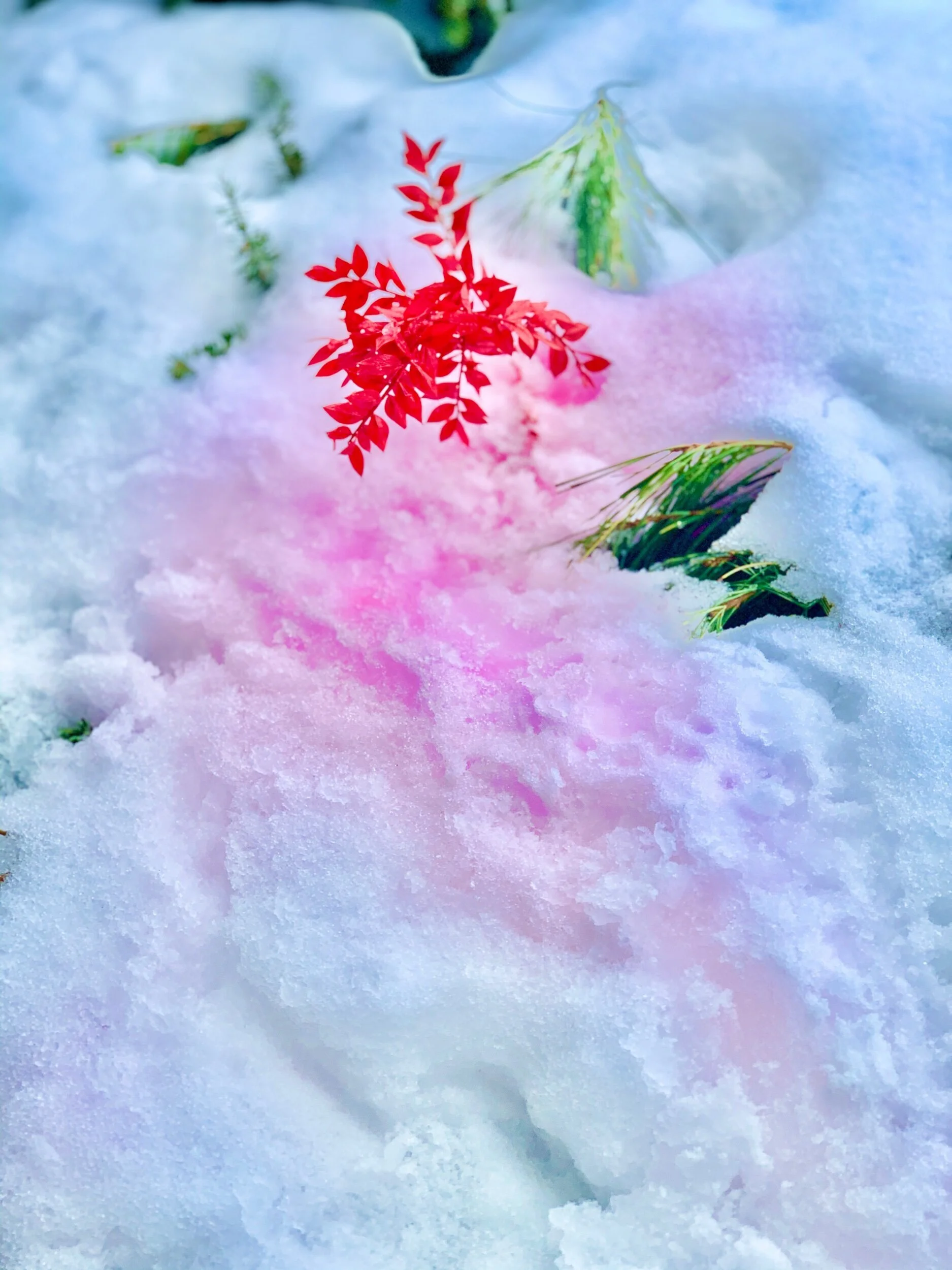 Ready Or Not, Here I Come