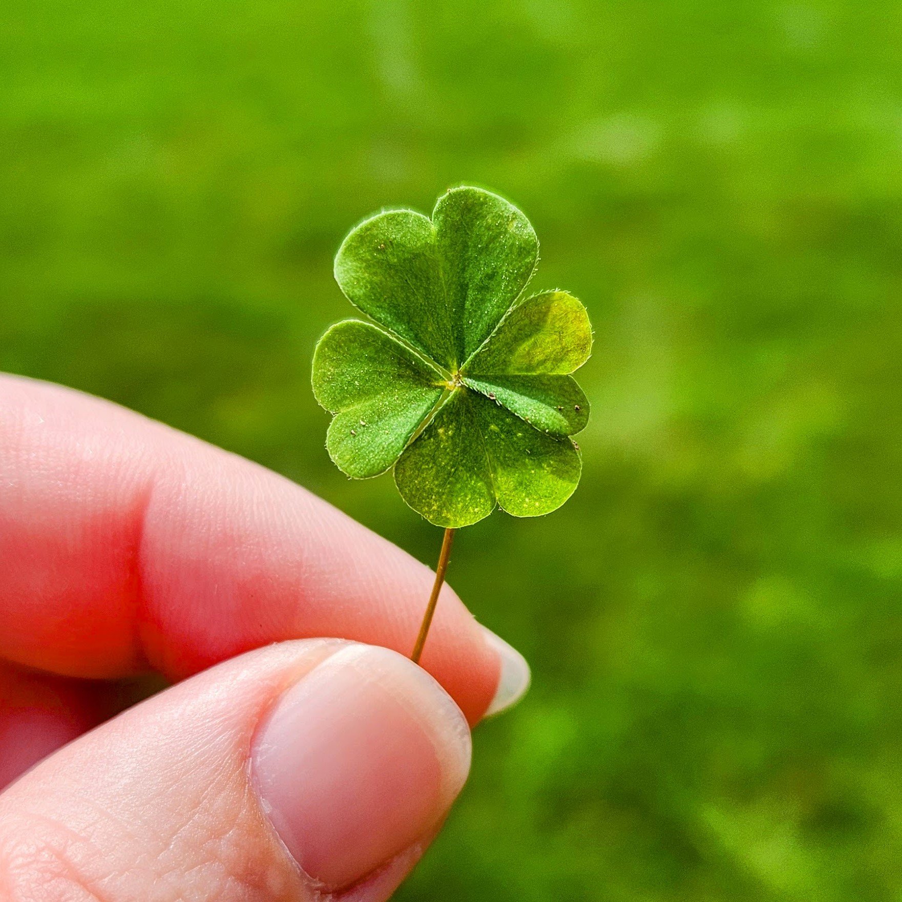 Embrace Your Inner Joy and Moxie: Designing a Future You Love