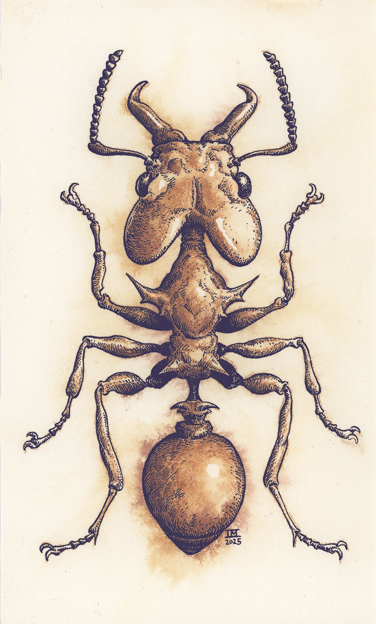 Formicidae: Physical Ink and Watercolor
