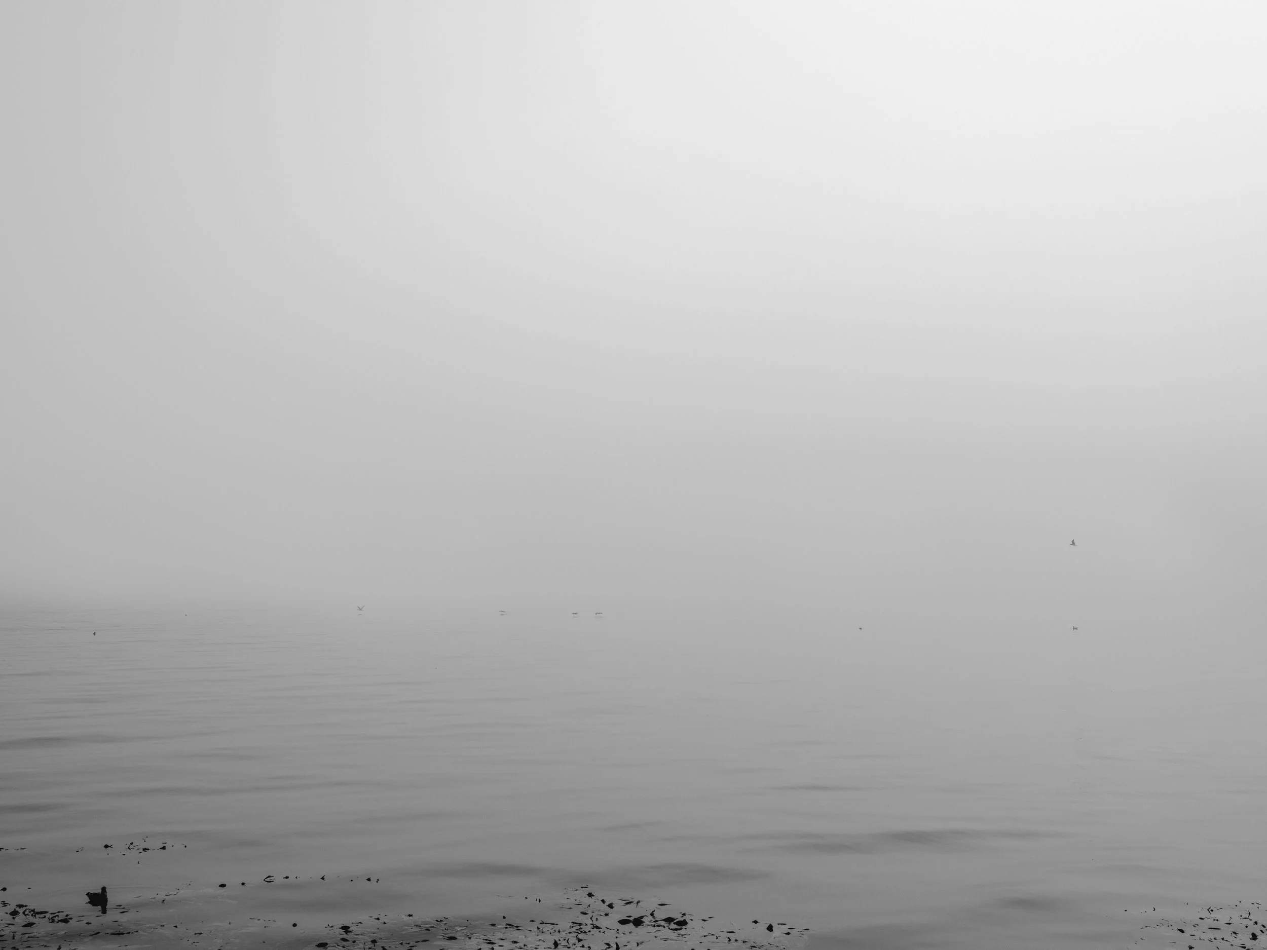 kilcullenj_-16.jpg