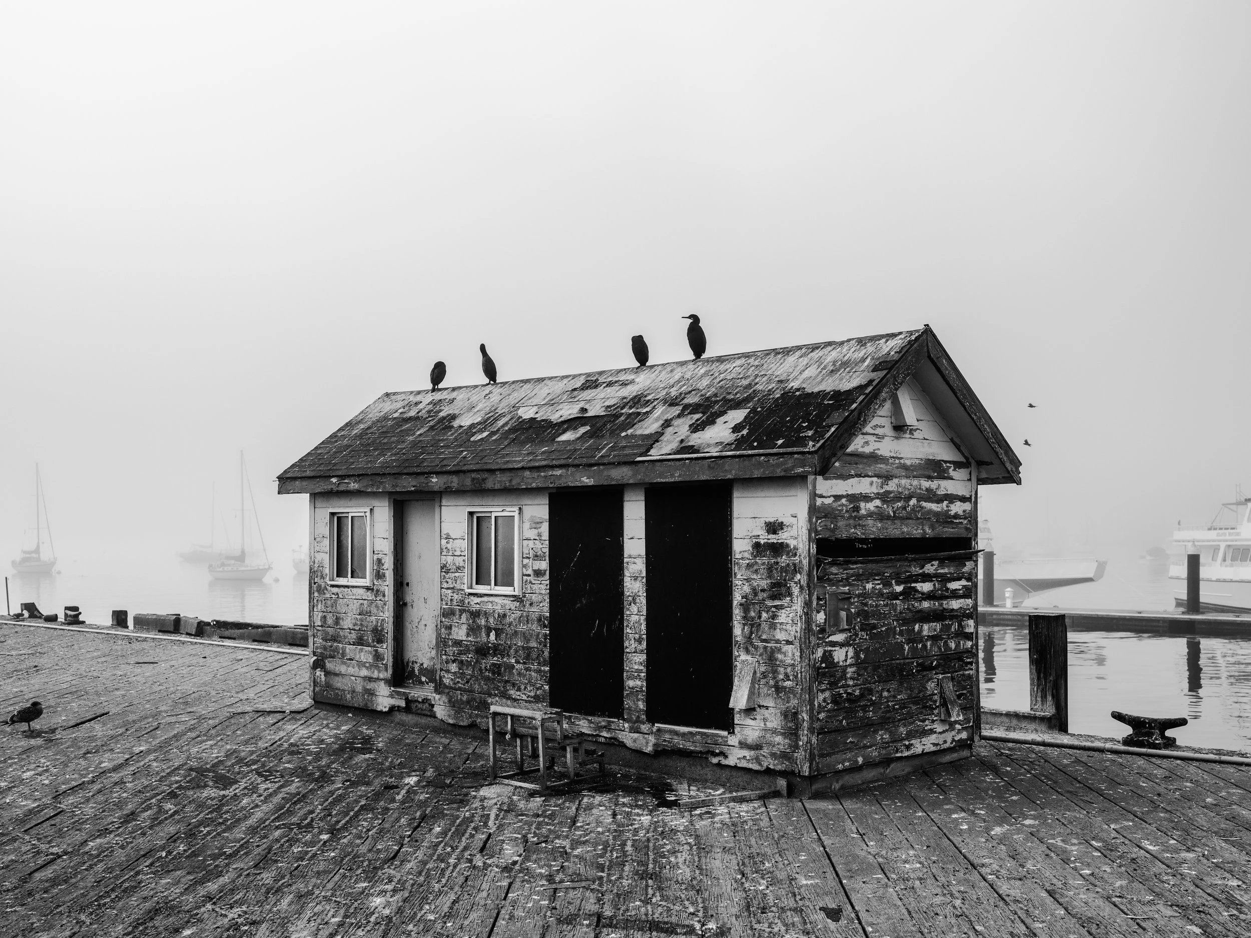 kilcullenj_-15.jpg