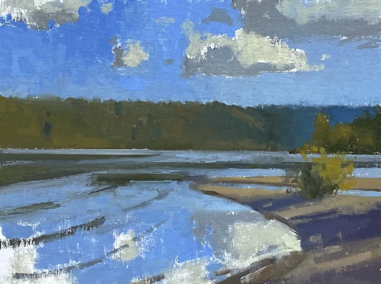 Landscape Painting - Understanding Atmospheric Perspective w/ Riley Doyle 