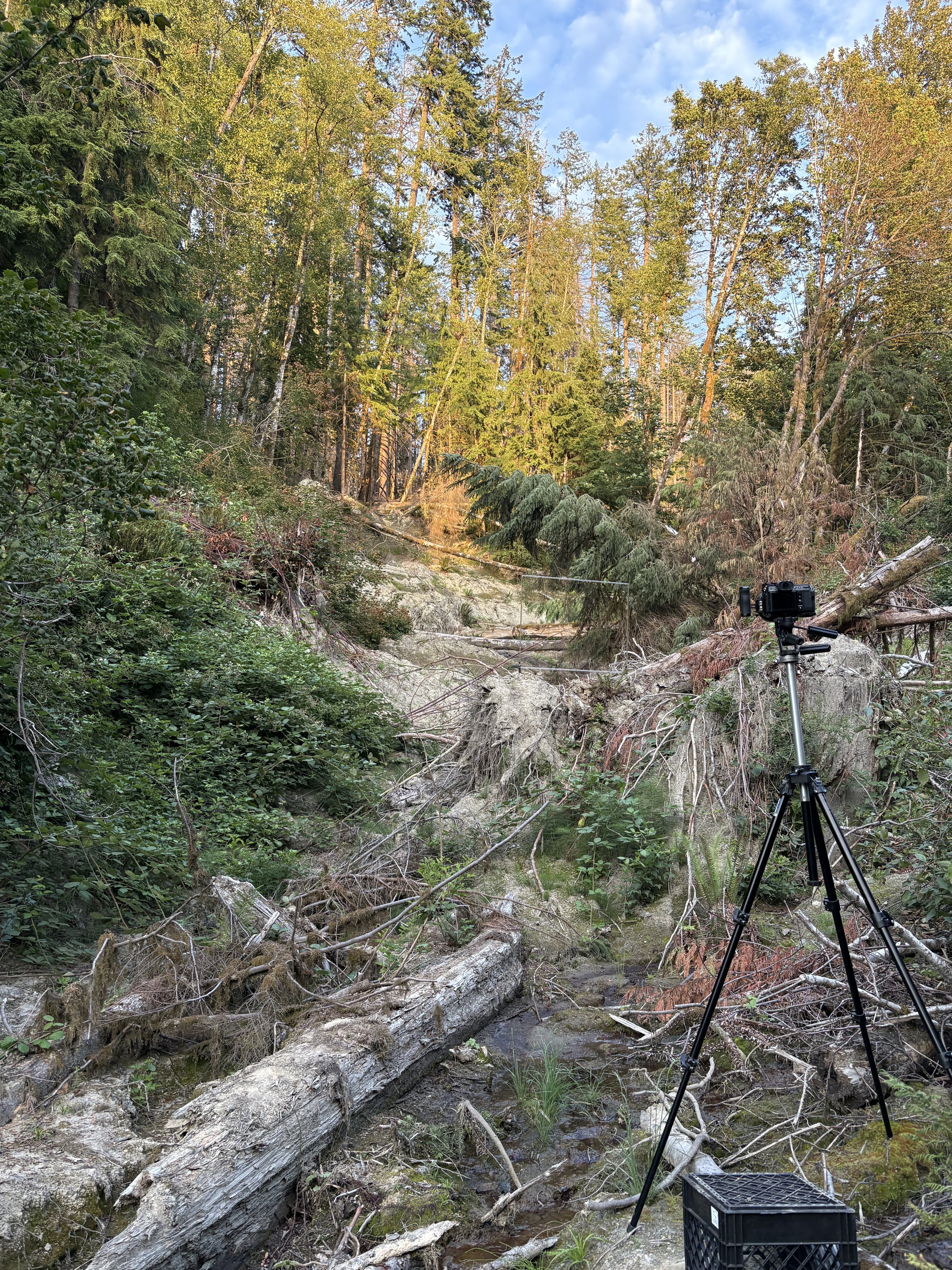 Working in the field / behind the scenes.