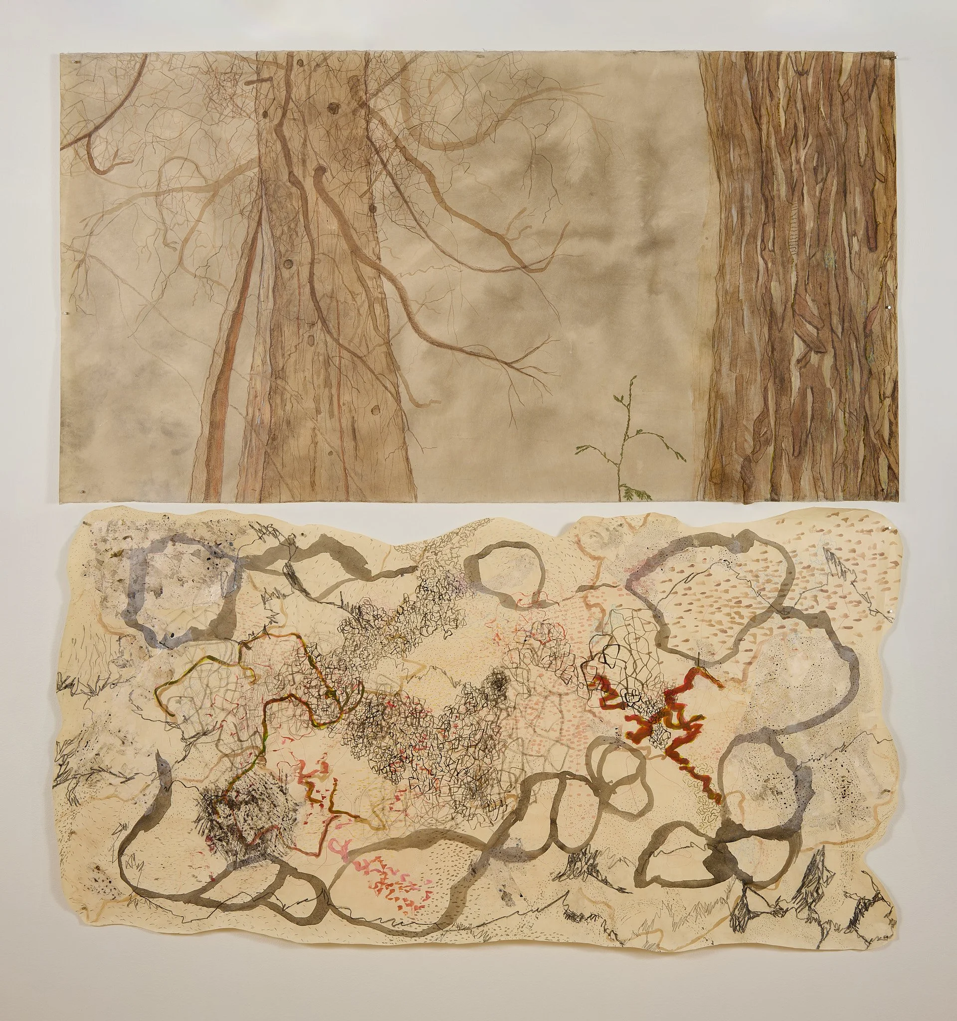 Sue Danielson, Synergy (Diptych), 2026, ink, wax pastel, graphite & acrylic, 82” x 72”, photo credit: Scott Leen