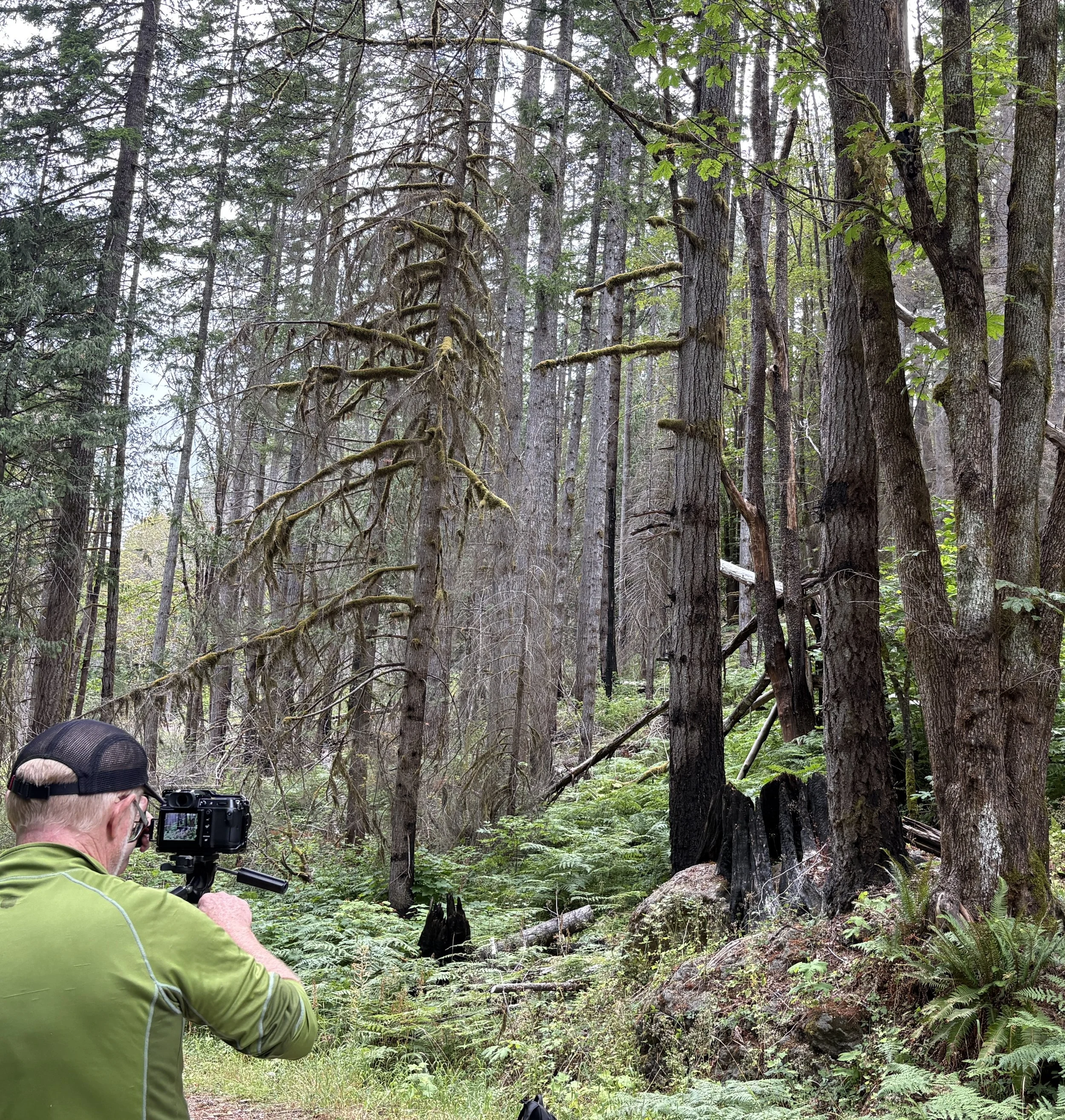 Working in the field / behind the scenes.