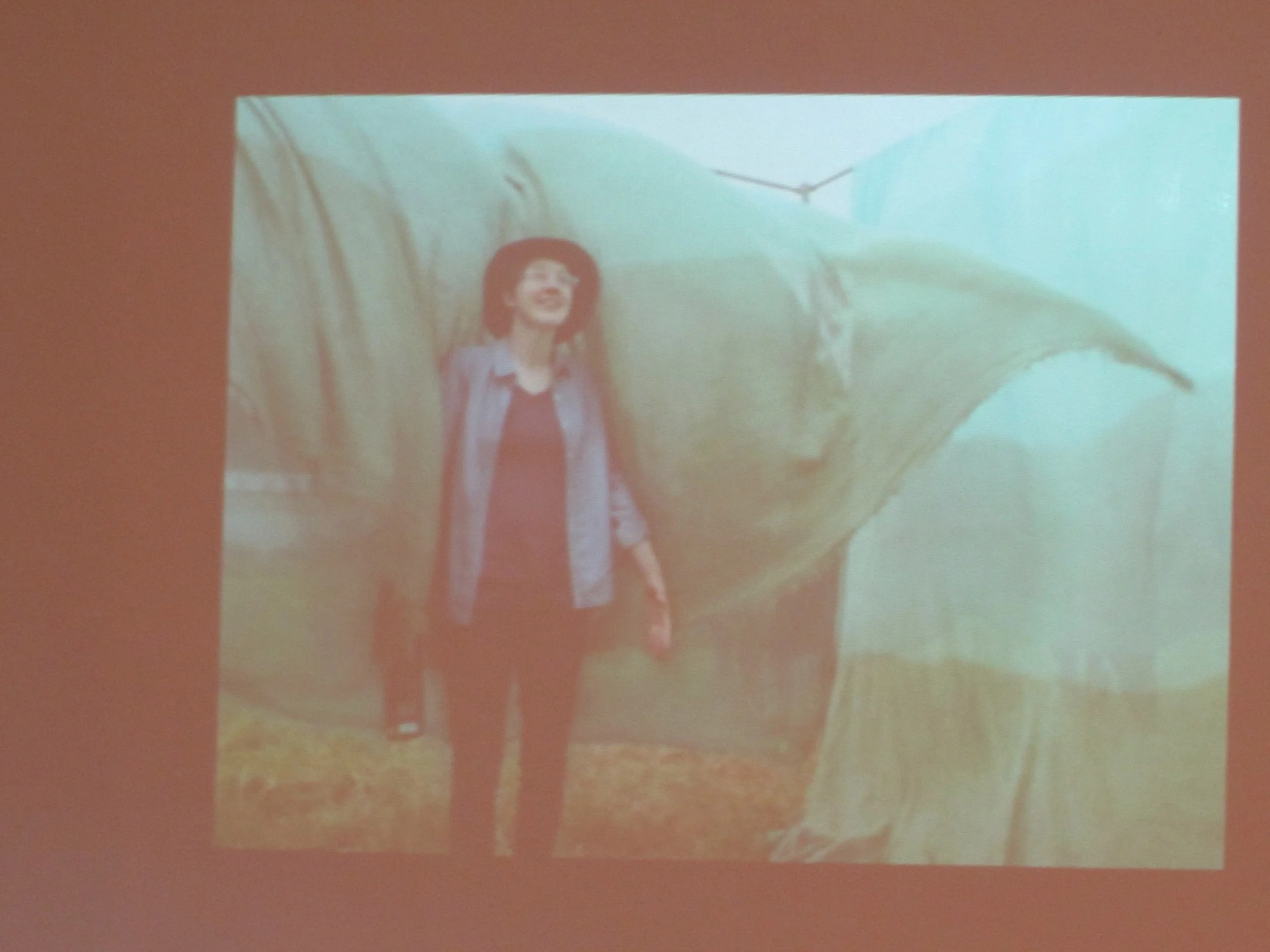 Cynthia Camlin, Heidi Epstein, and Jasmine Valandani, Living with water.JPG