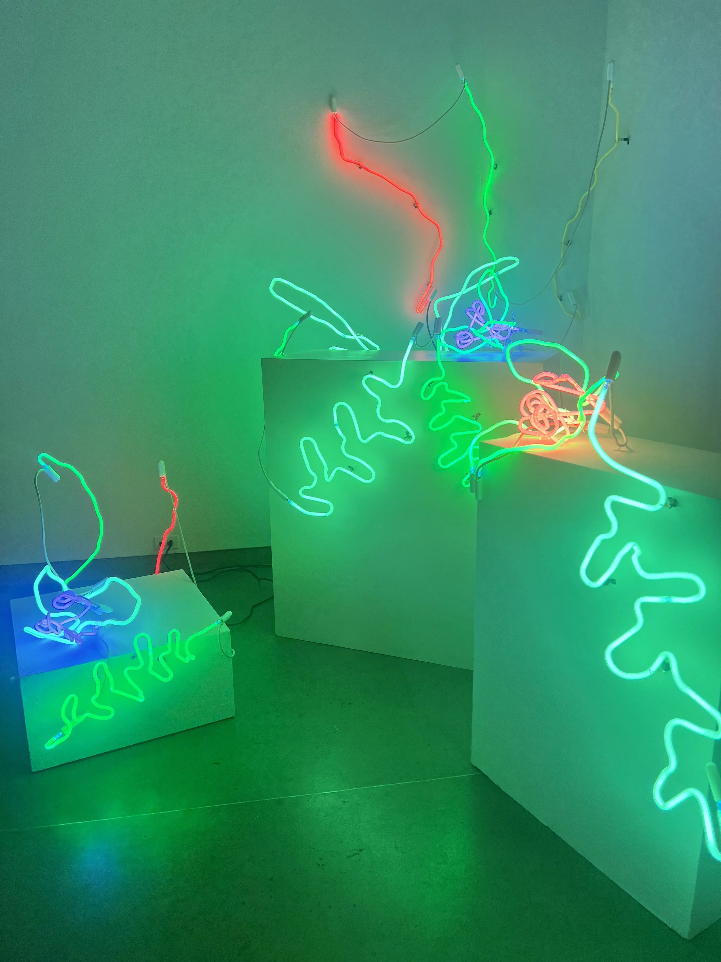 KCJ Szwedzinski, Nurse Log Elements, Neon