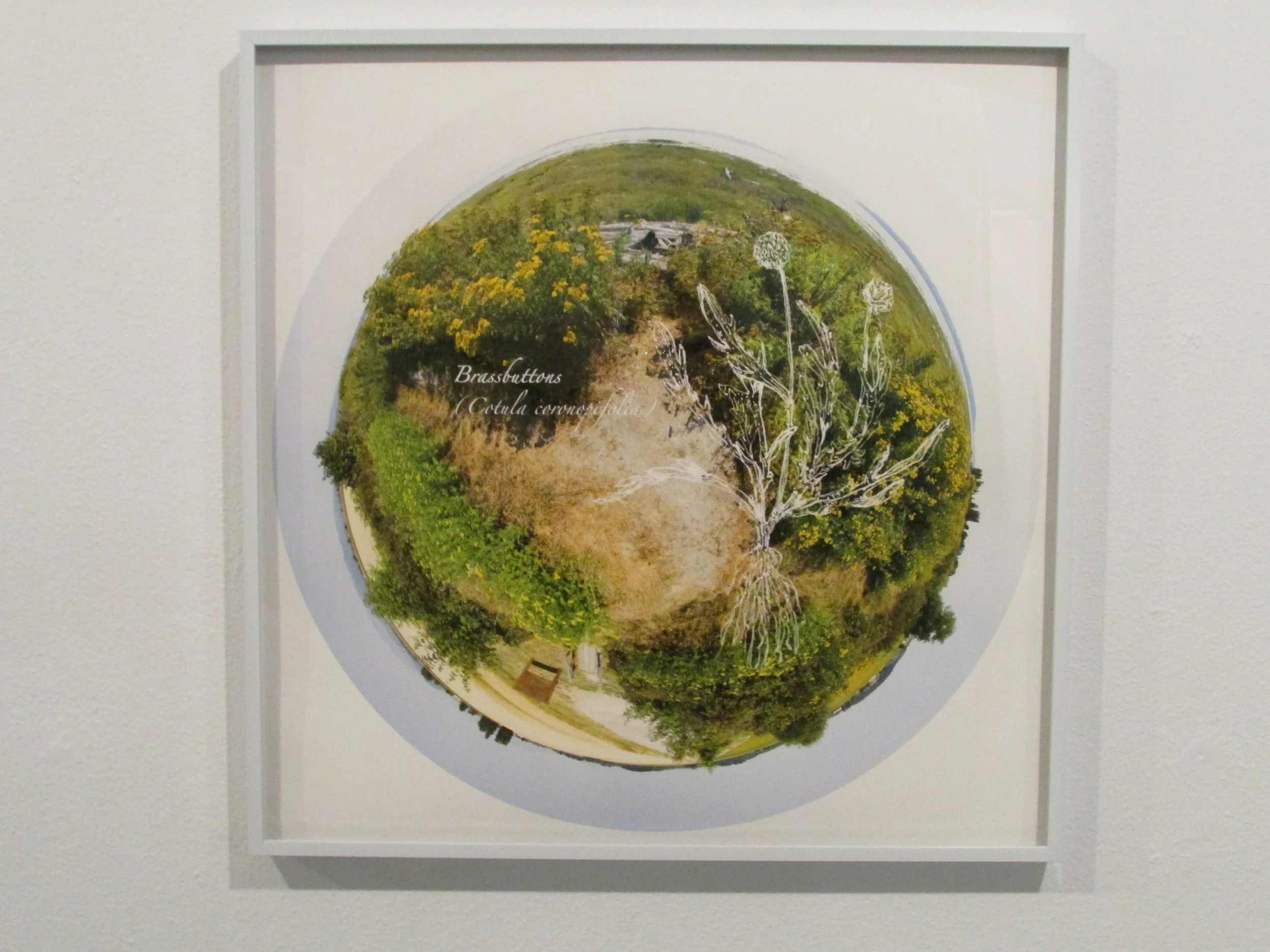 Barbara Miller and Dimitri Katsaros, Ecological Drift 2017-2918 2.JPG