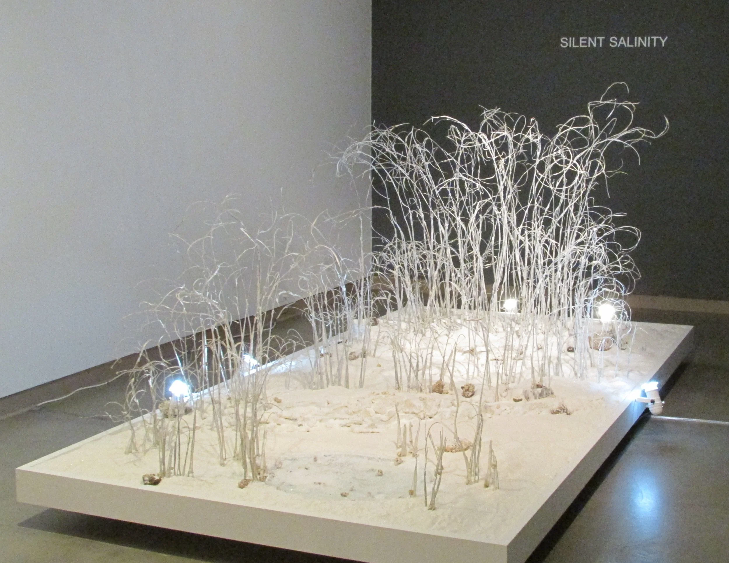 Mary Coss Silent Salinity - Ghost Meadow.JPG