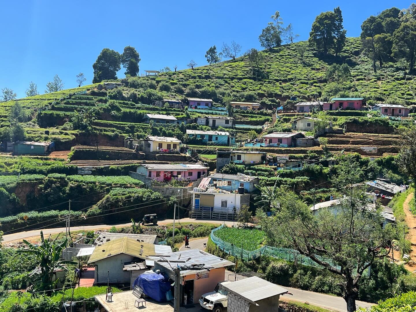 High up in the #tea country above #nuwaraeliya, #SriLanla. The weather is cooler here than anywhere else we&rsquo;ve been so far in the country! #travel #adventure