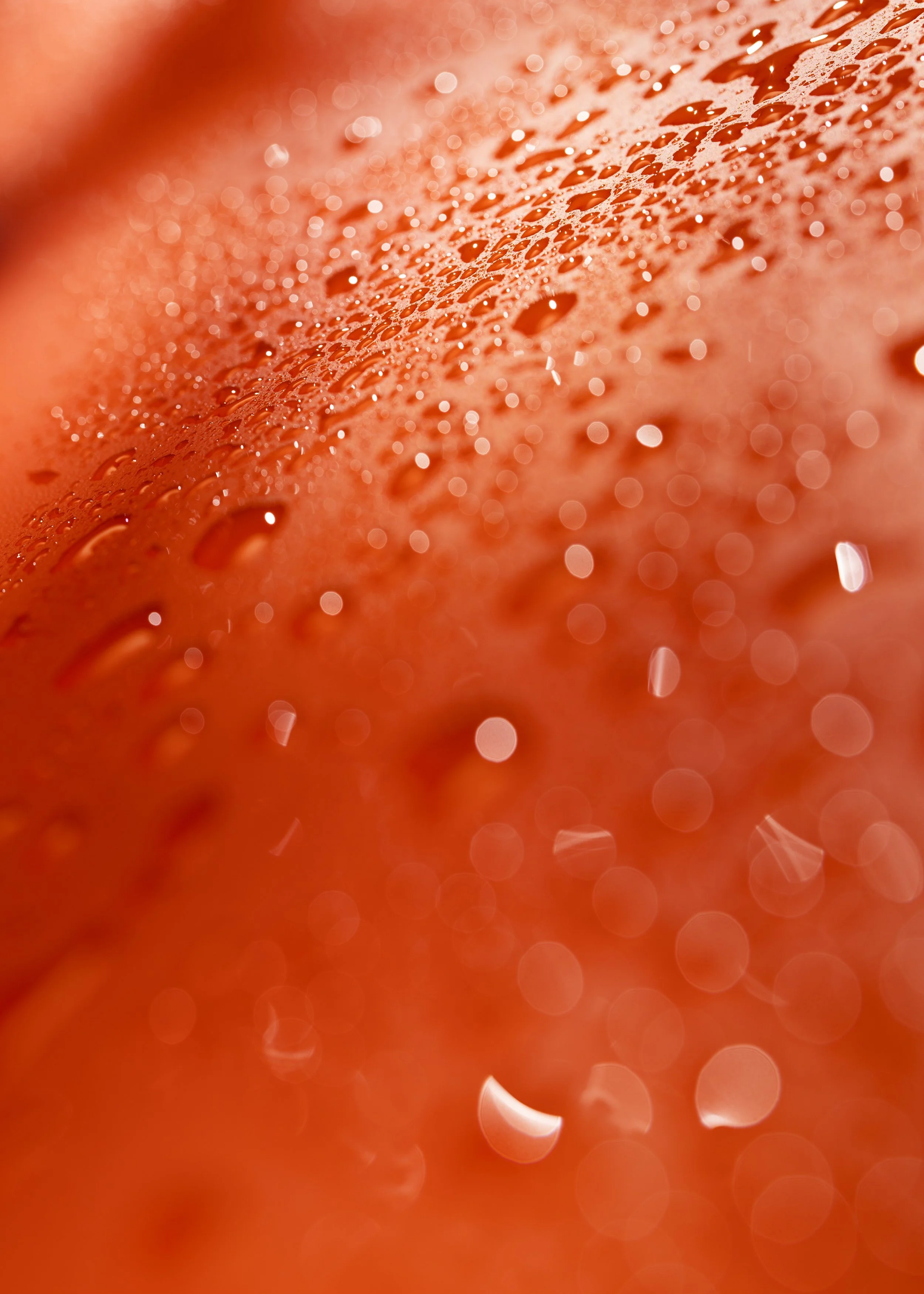 Project Glaze Full-4.jpg