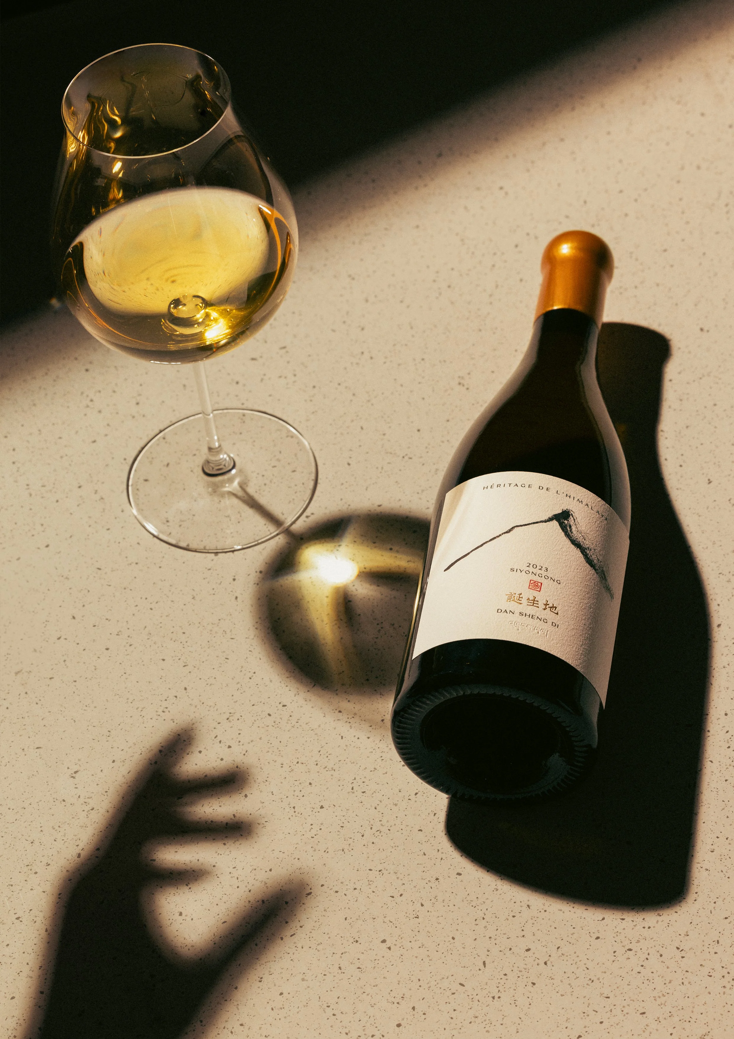 Beyond the Cellar_Teaser-6.jpg