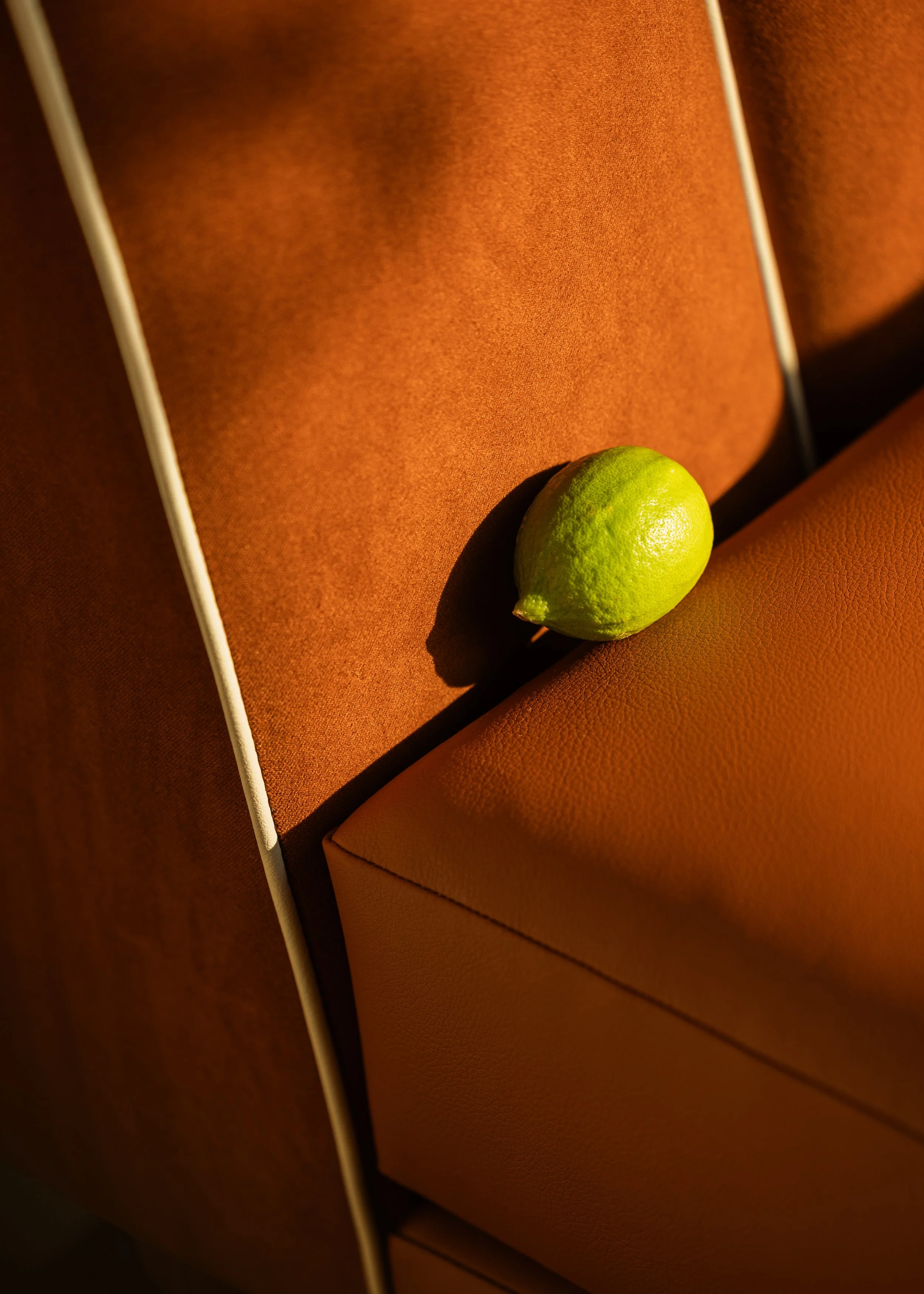 20250910 Lavo Brand_EH Stills-149.jpg