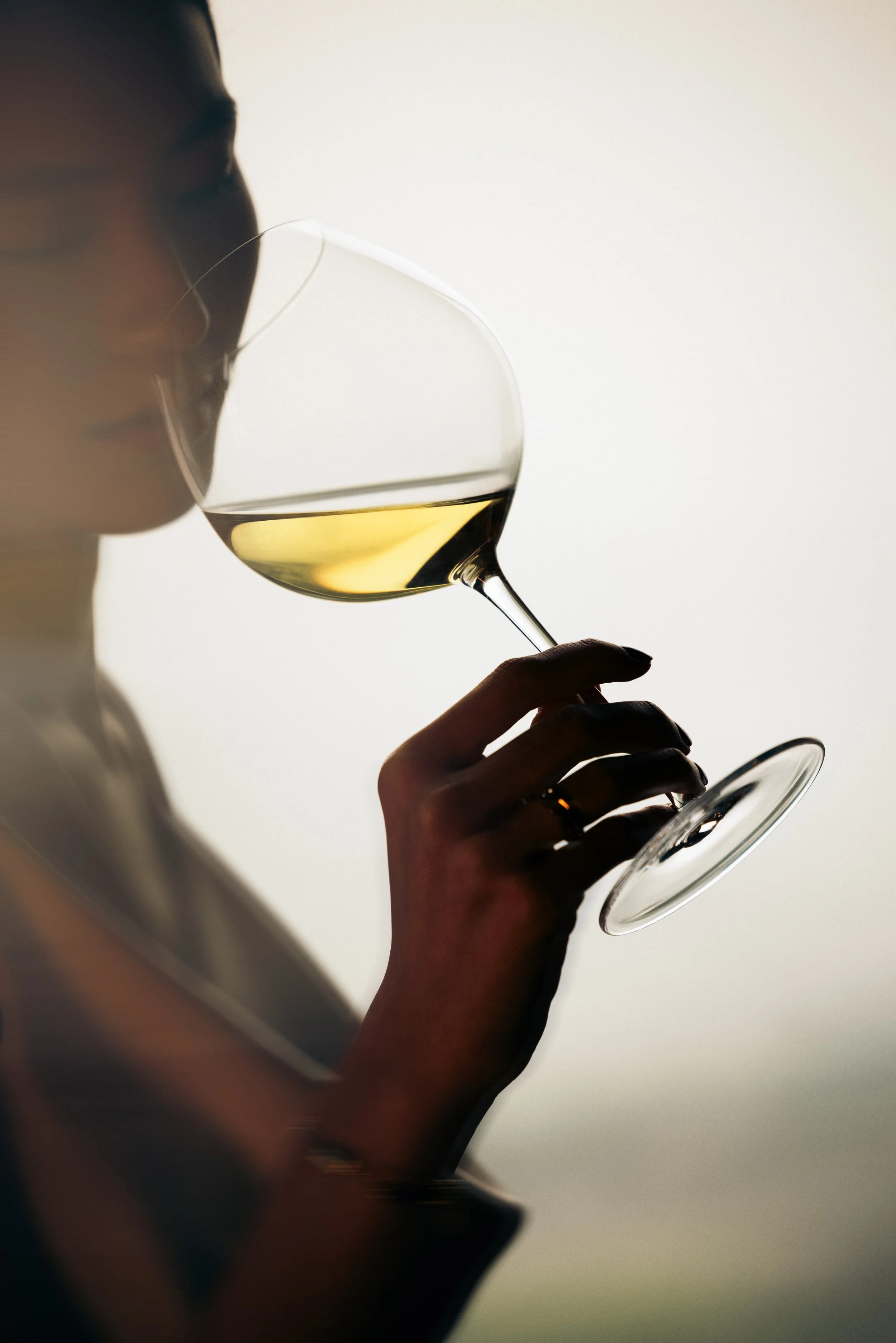 Beyond the Cellar_Teaser-17.jpg