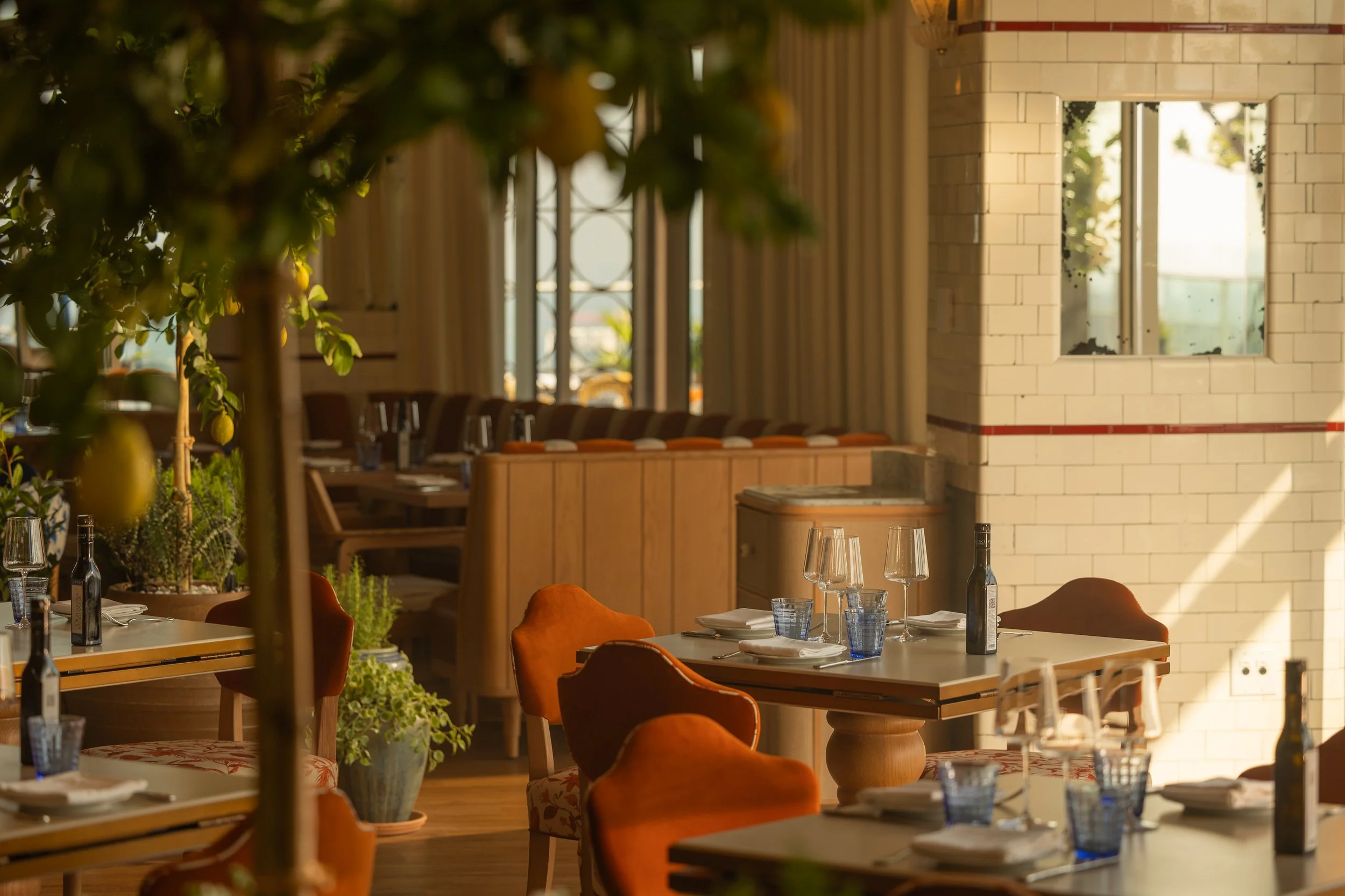 20250910 Lavo Brand_EH Stills-101.jpg