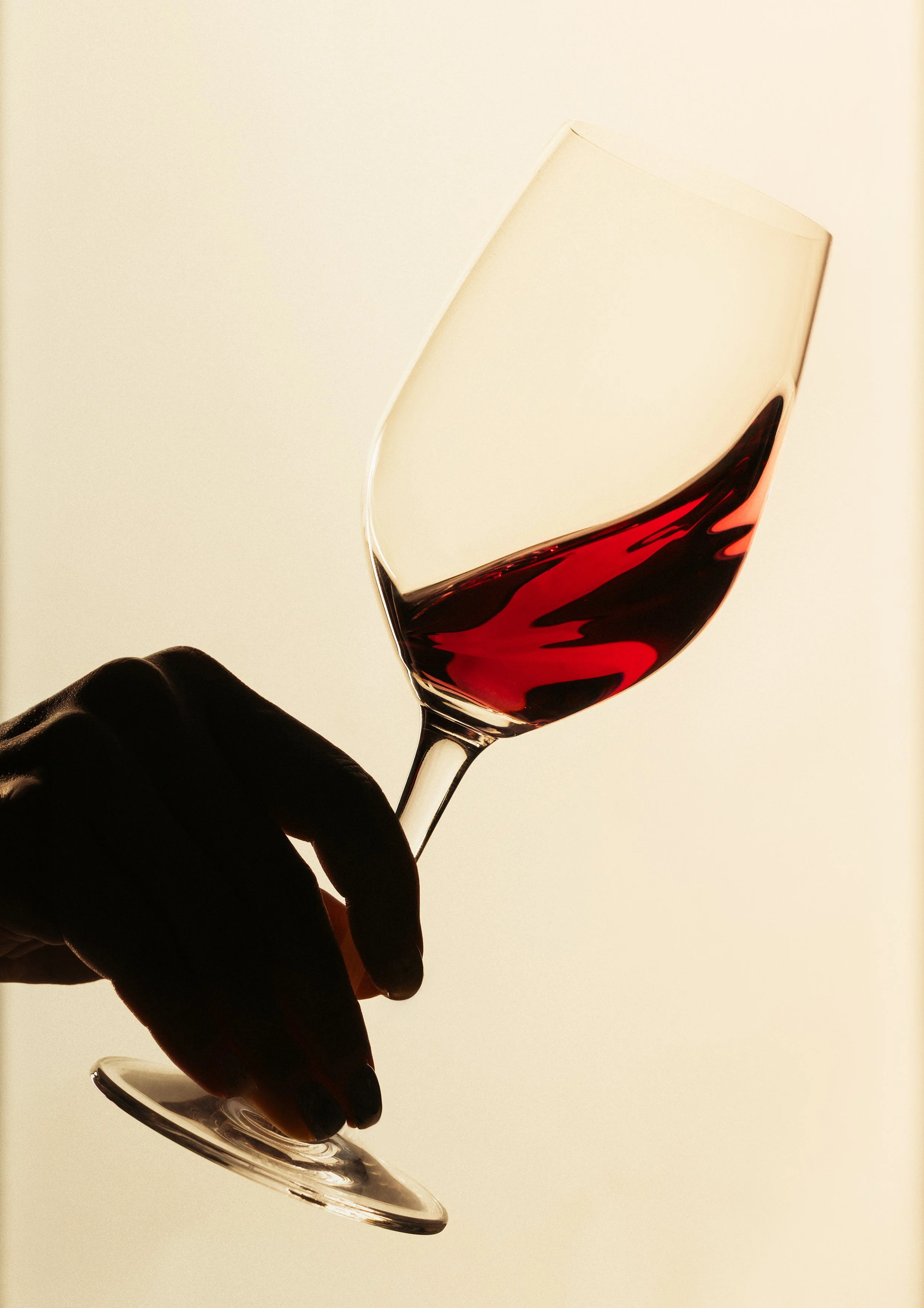 Beyond the Cellar_Teaser-5.jpg
