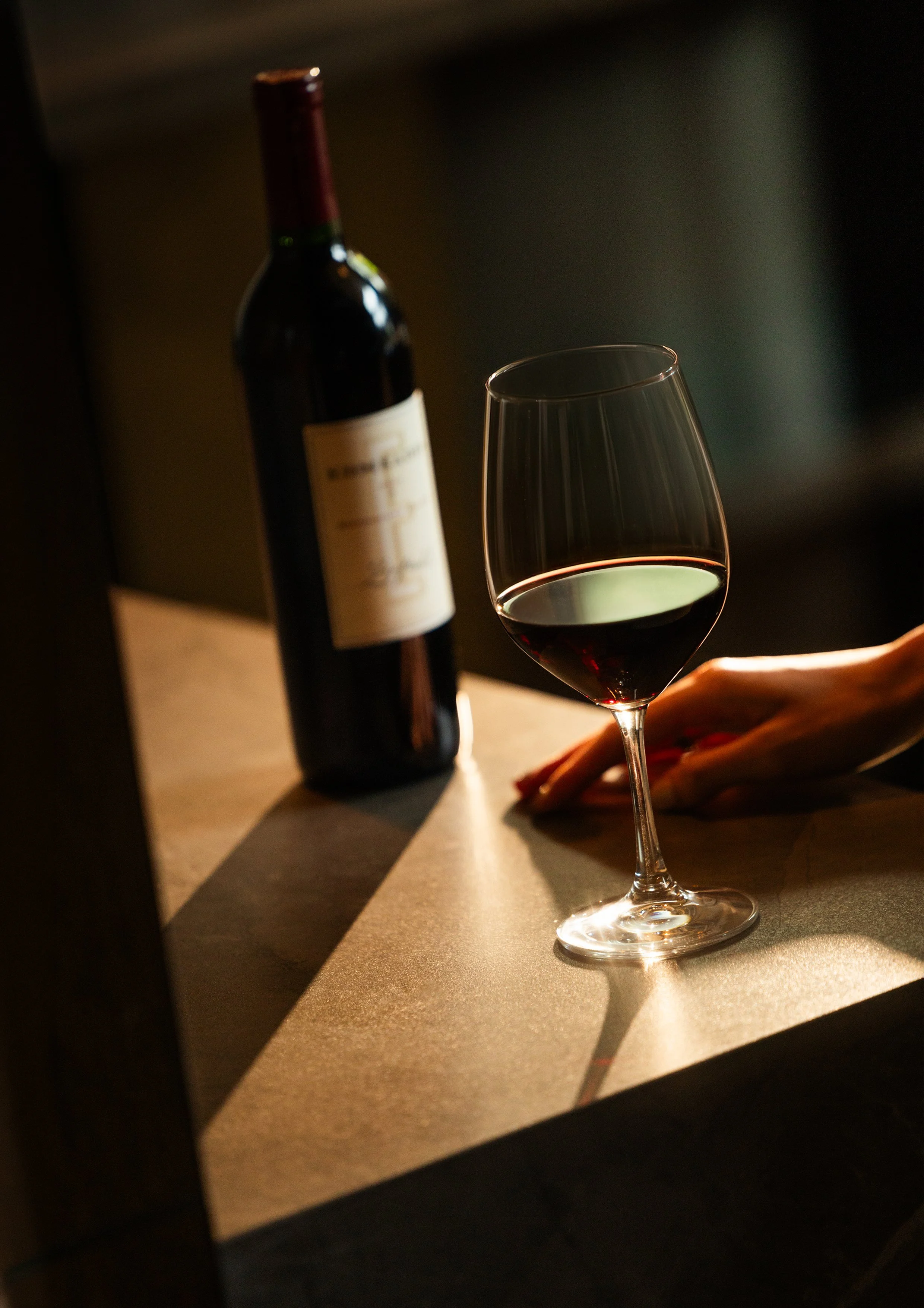 Beyond the Cellar_Teaser-7.jpg