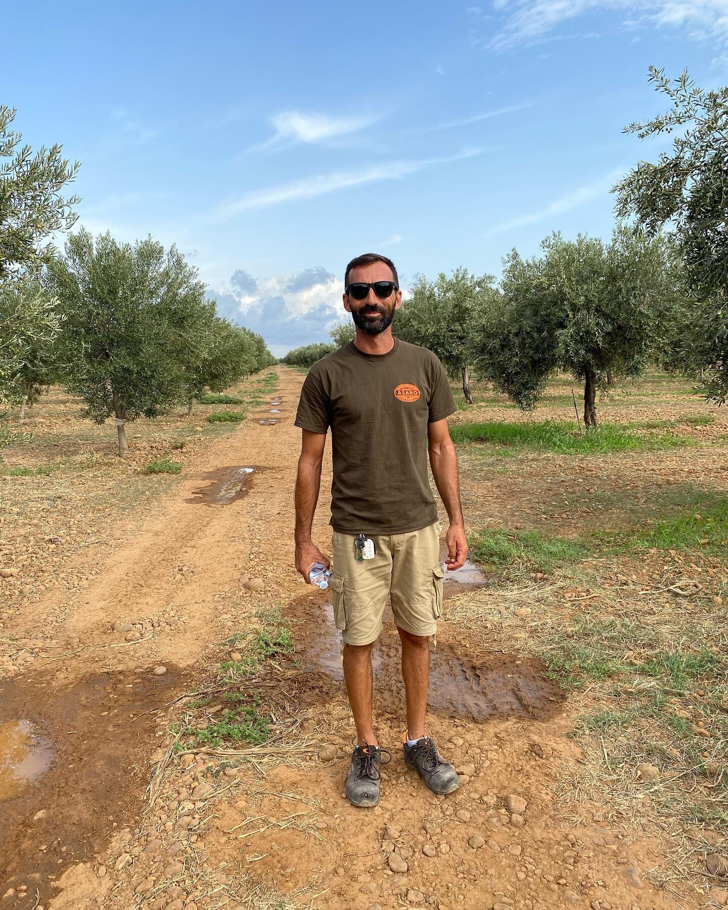 This is Nico. He is one of three people who watches over the 15,000 olive trees at the farm. Nico doesn&rsquo;t want to travel the property by tractor or bike because he says it&rsquo;s not efficient. So he walks, on average, 100 kilometers a month o