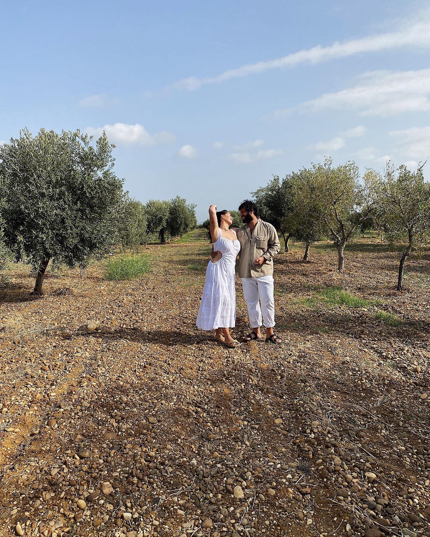 love and olive oil