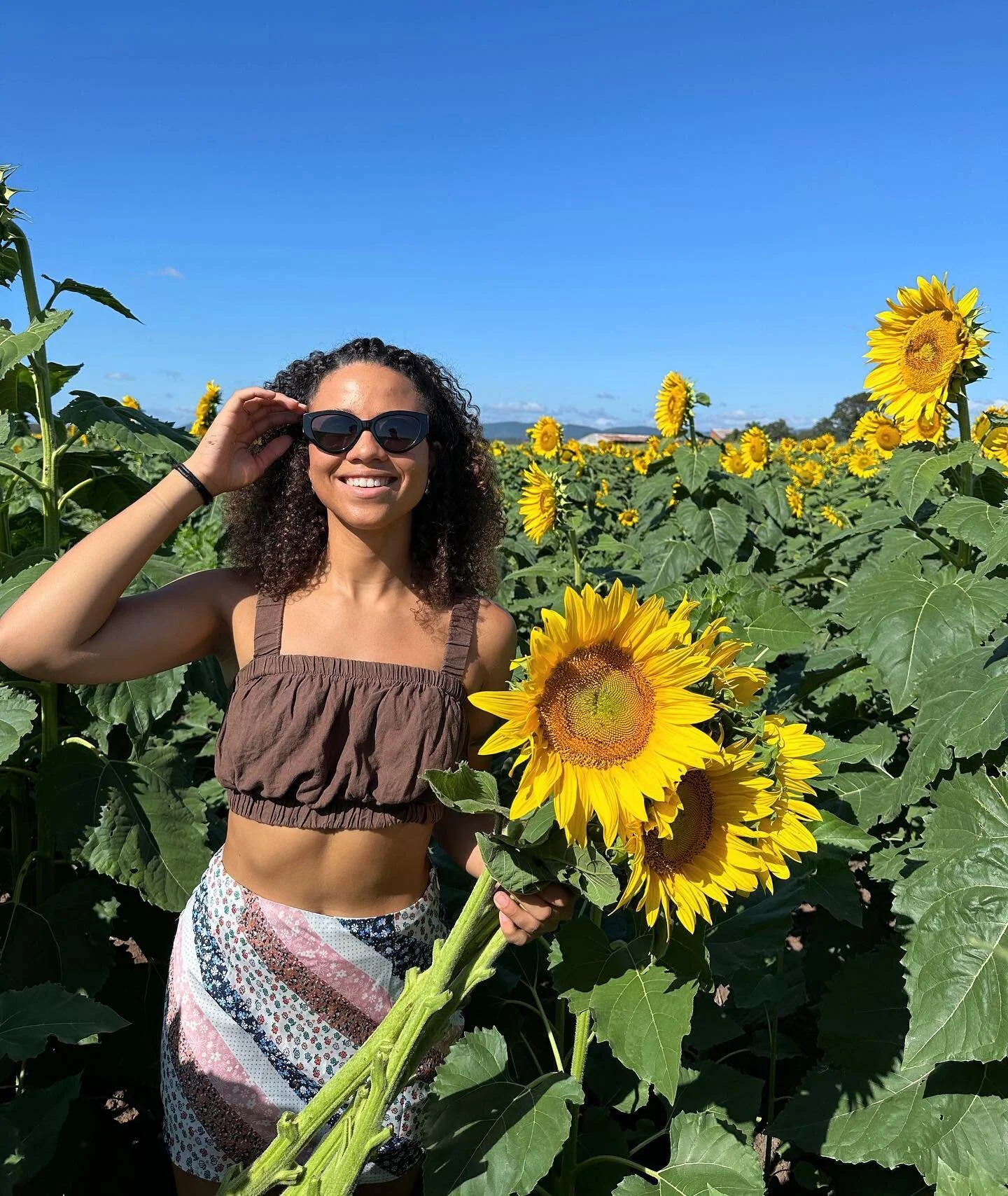 Spent the morning negotiating with bees in a field of sunflowers 🐝