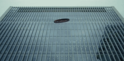 I think therefore ii