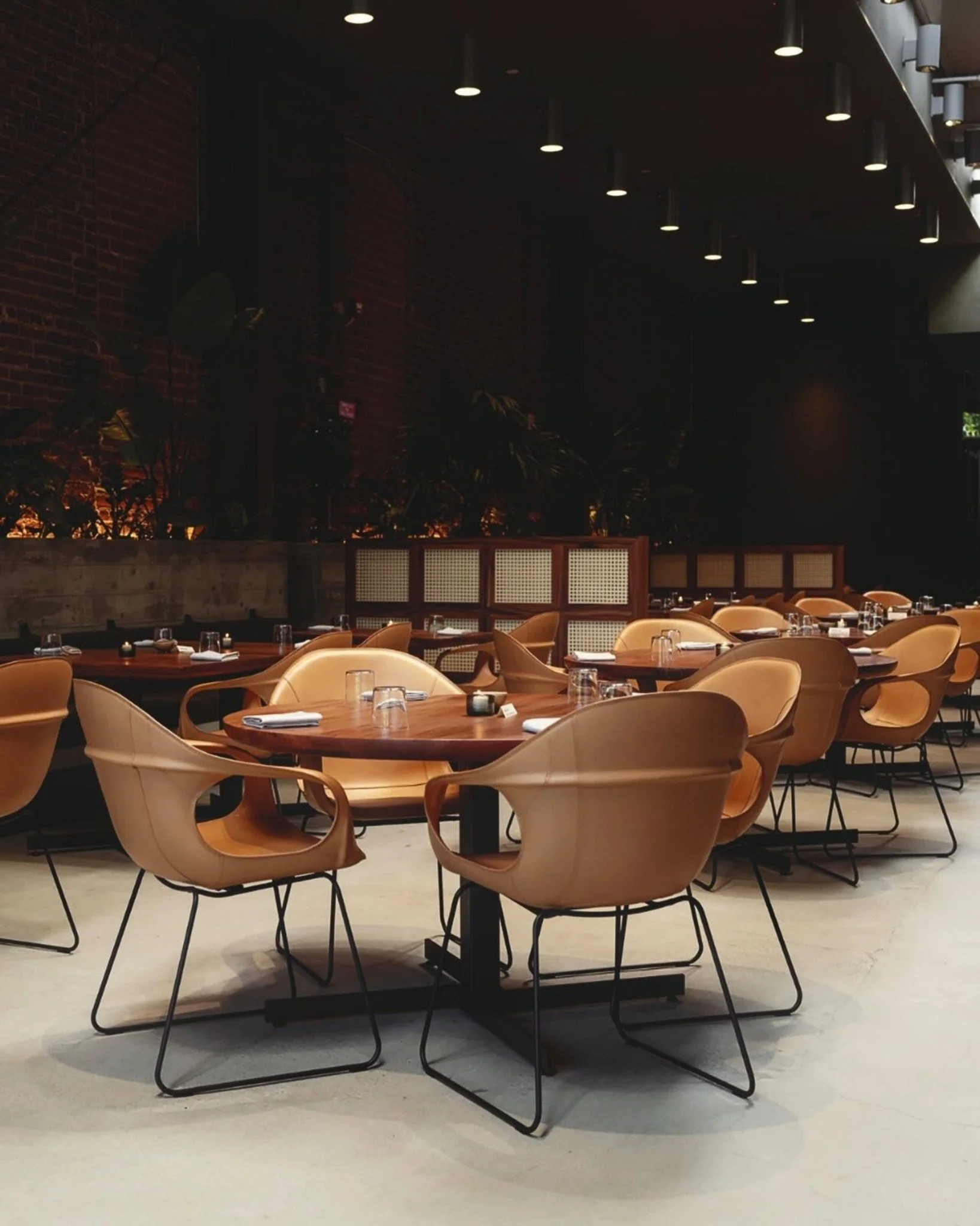 L&rsquo;iconica sedia @kristaliadesign Elephant 🐘 nella sua versione leather al Damian restaurant 📍 Los Angeles.

#TrendMilanoDesign #KristaliaDesign #ElephantChair #DesignInteriors #HospitalityDesign