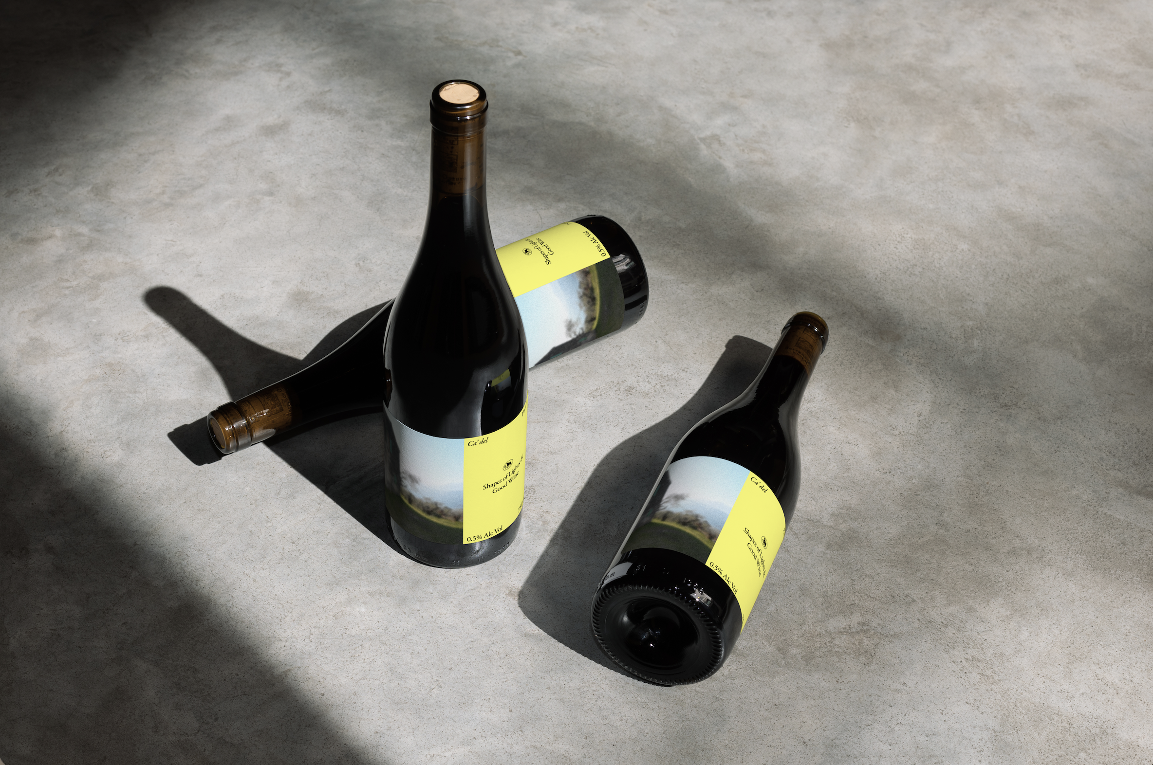wine bottle Ca' del Pastore
