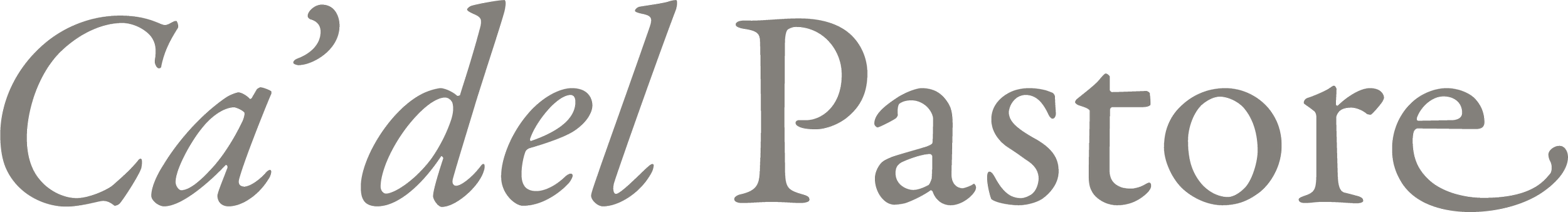 Logotype Ca'delPastore in medium gray