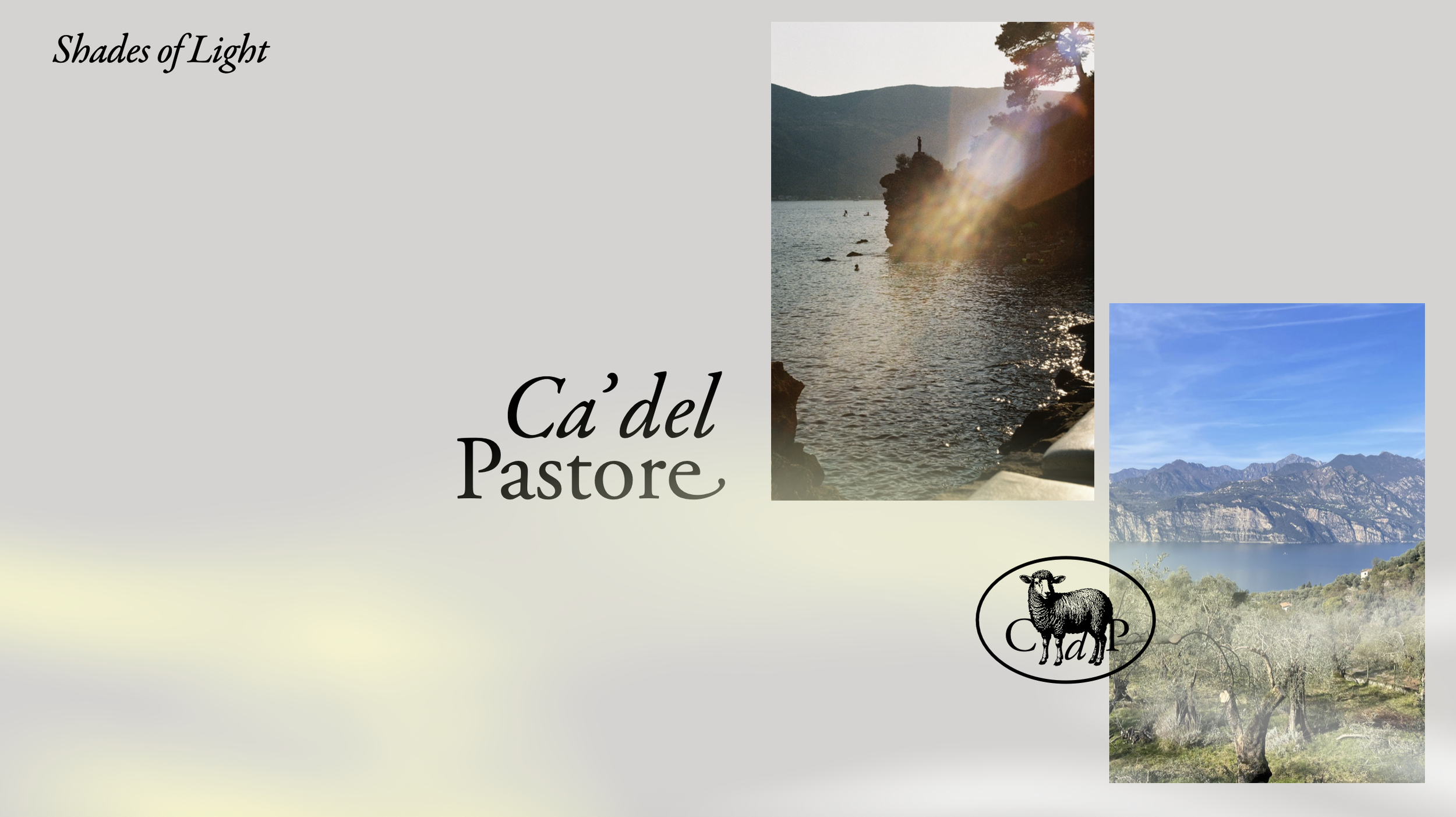 pictures of nature with Logotype and symbol