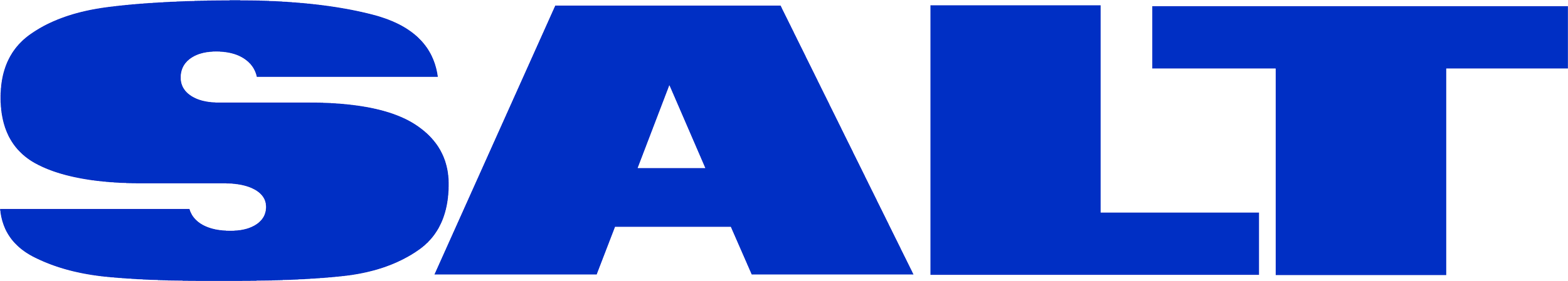 Logotype salt blue