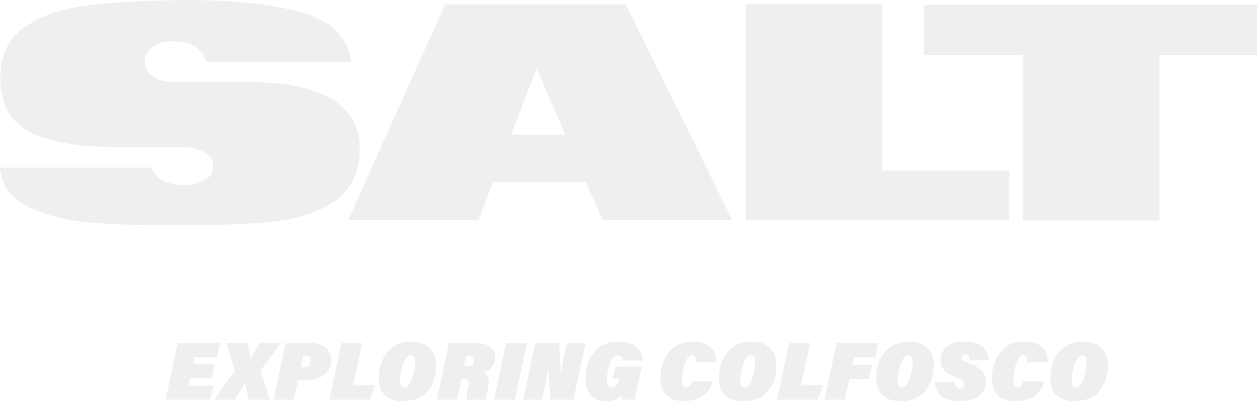 Logo+Byline light grey