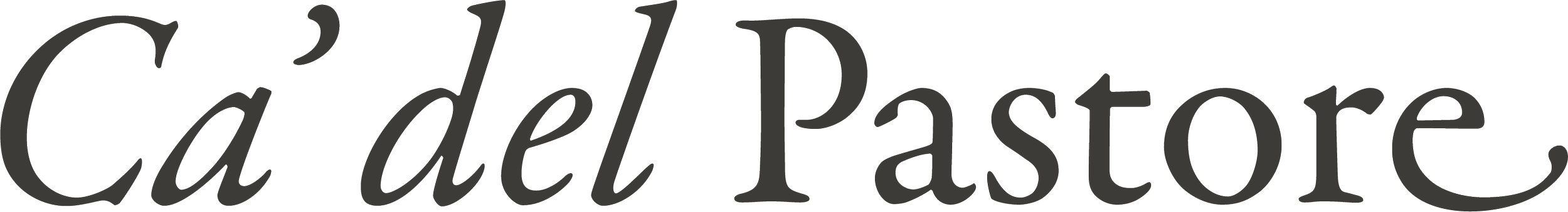 Logotype Ca'delPastore in dark gray