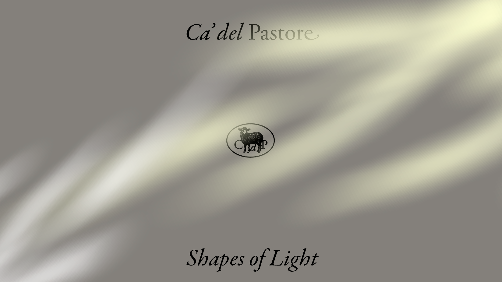 Use of the lights with the Logotype and the Symbol