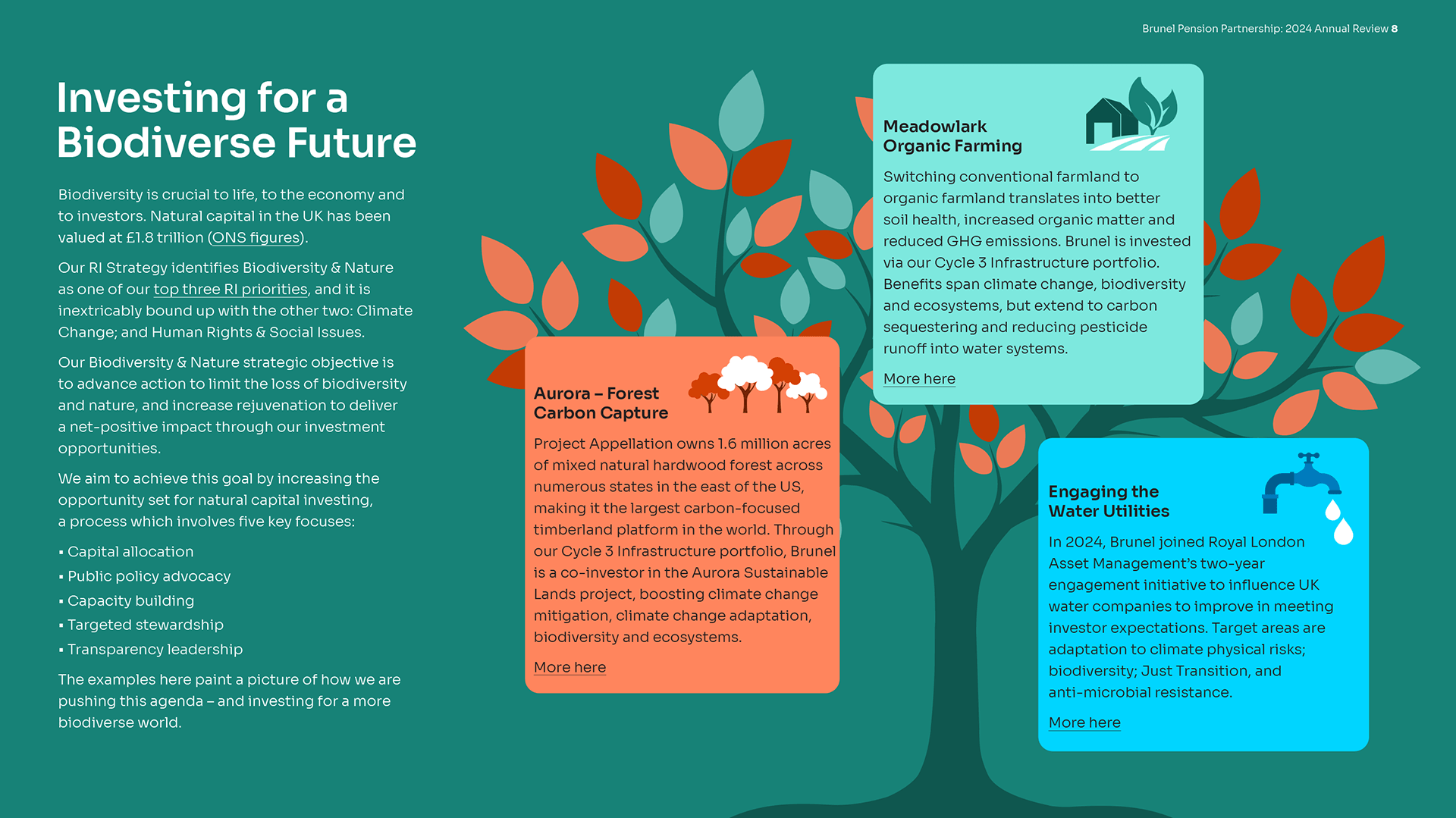 An article about investing in biodiversity showing a tree with three boxes of text discussing different areas