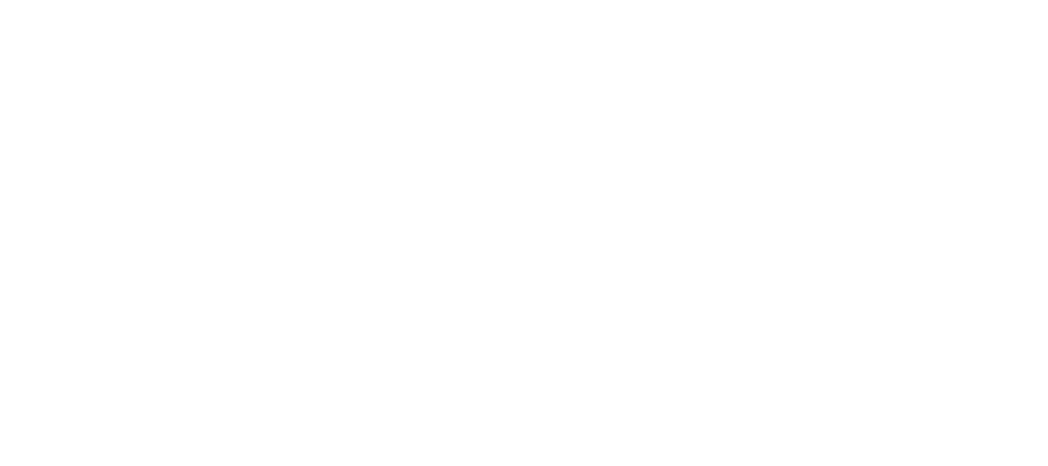 Burrito Company