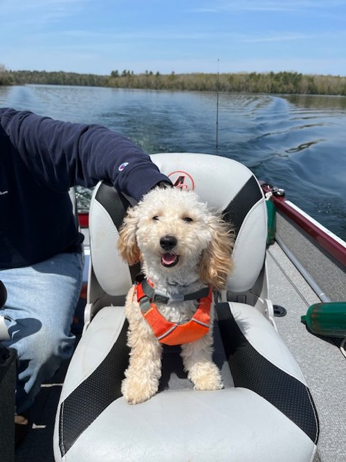 Meet July’s Ambassador: Gracie🐶💕