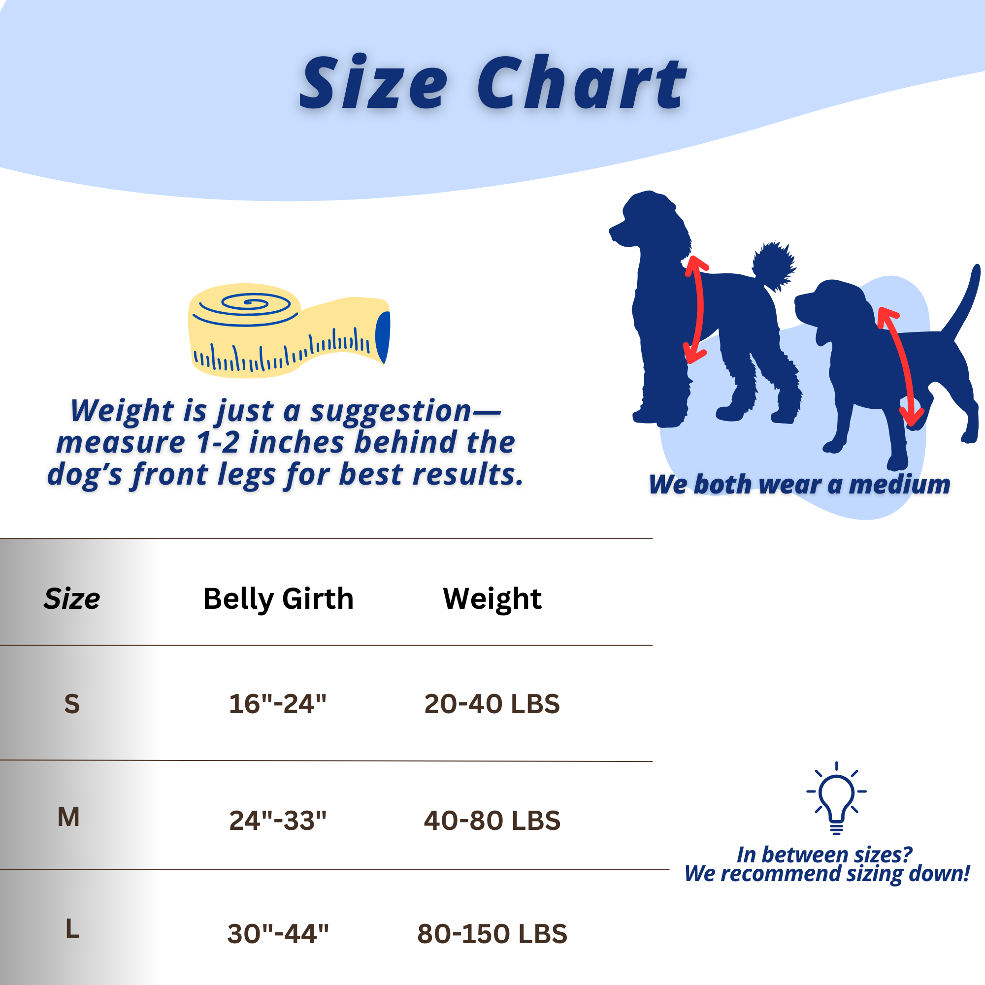 Essential Harness Best Selling No PullHarness More — ShawnCo