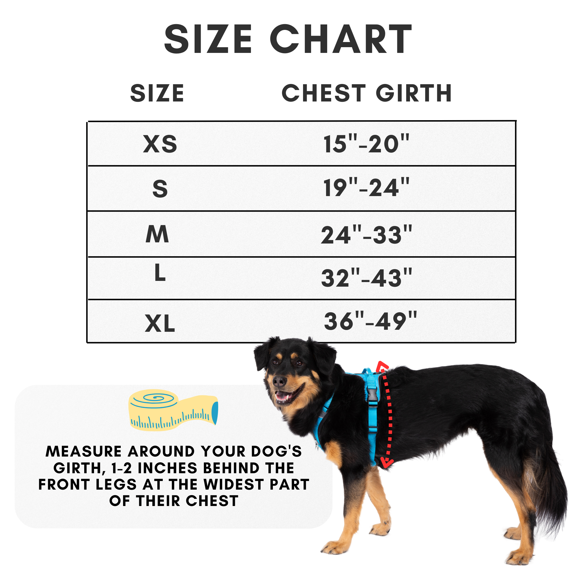 Essential Harness Best Selling No PullHarness More — ShawnCo