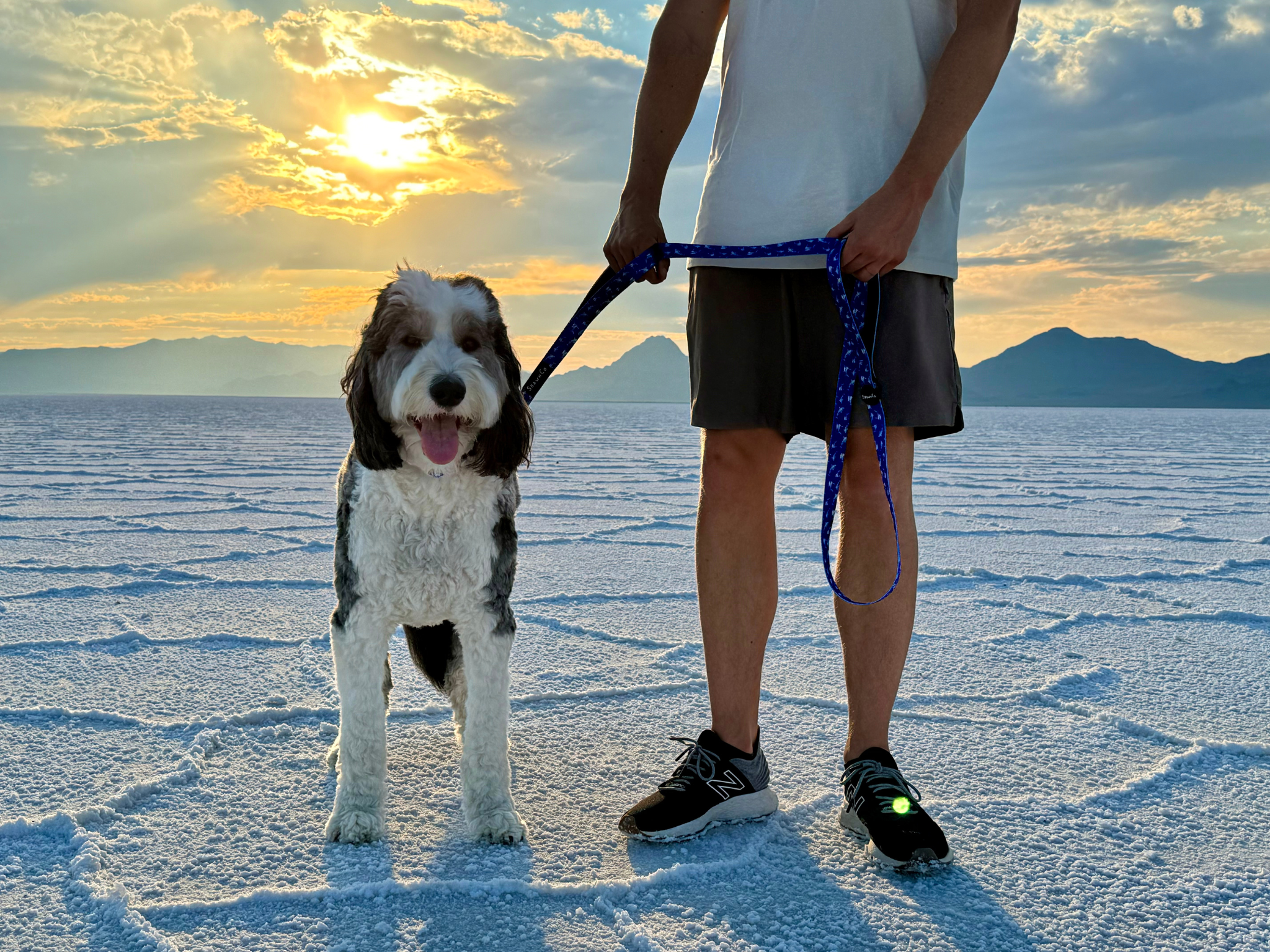 Elvis Double Handle leash.png