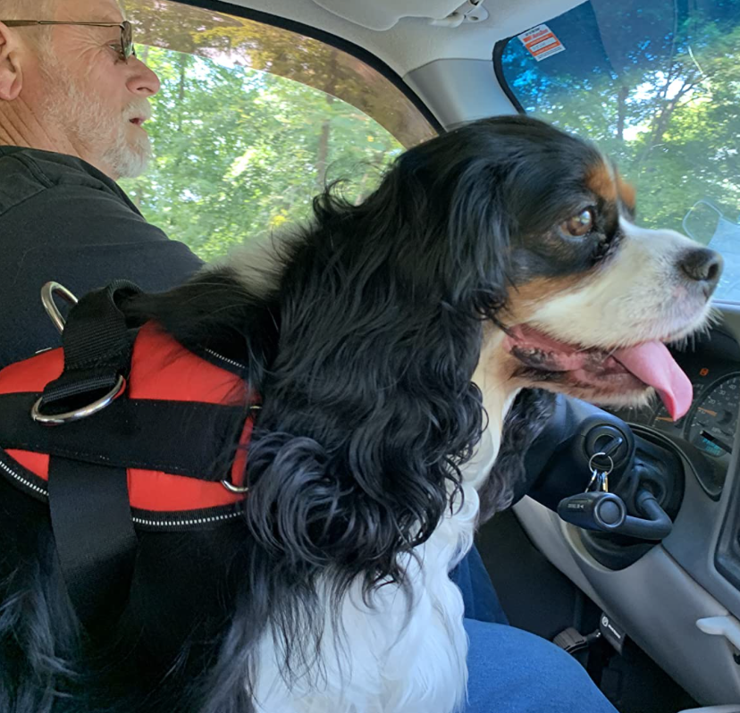 Screenshot 2025-04-14 at 6.45.51 PM.png