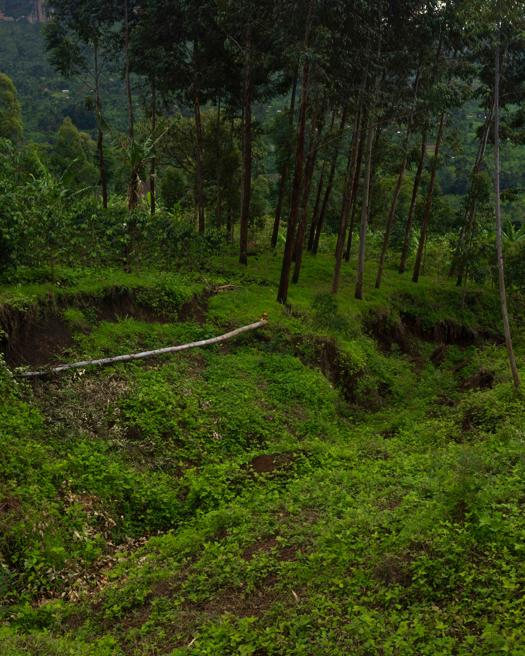 Landslides.png