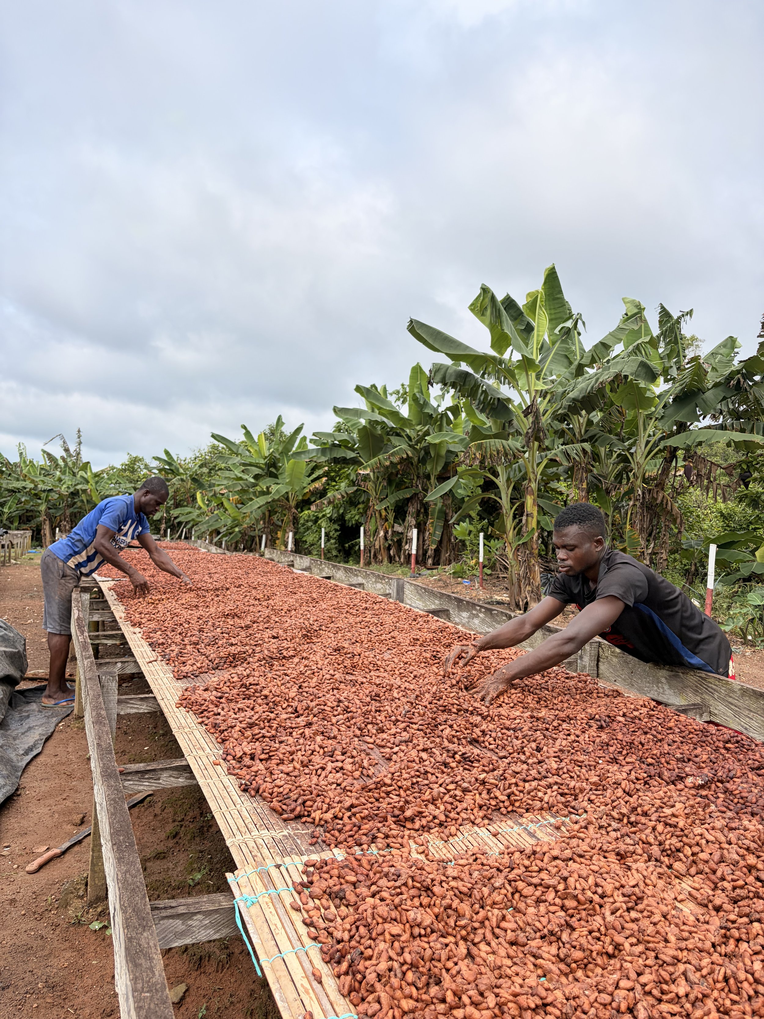 In Daregba, Ivoorkust, is cacao meer een verhaal van familie, werk en hoop.
