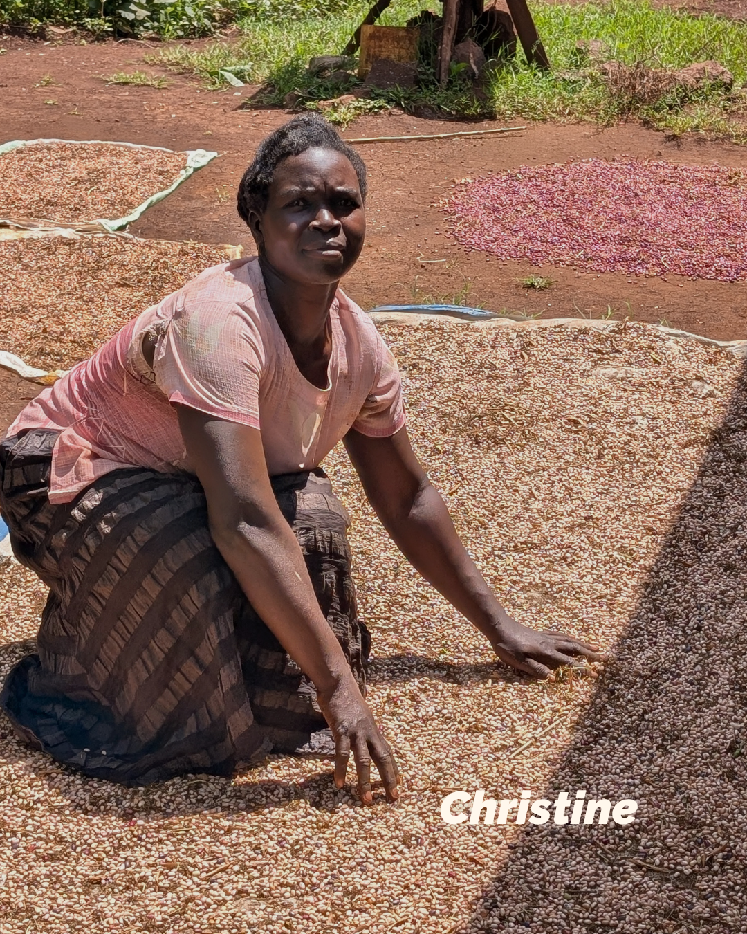 Strong womaen of Kapchorwa (4).png