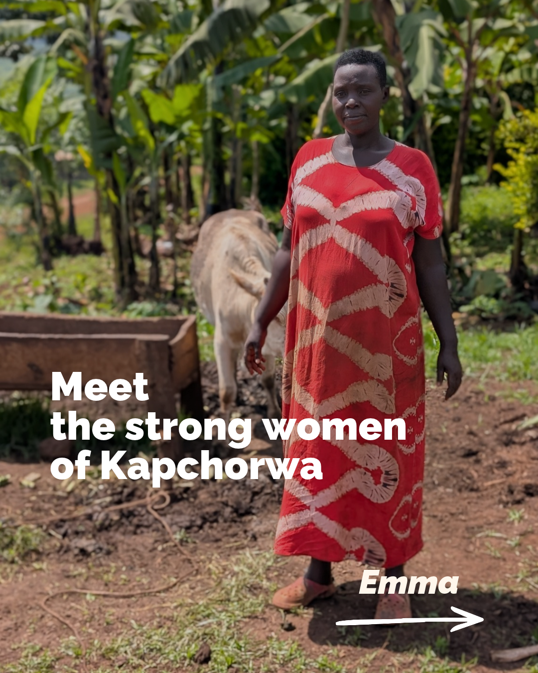Strong womaen of Kapchorwa.png