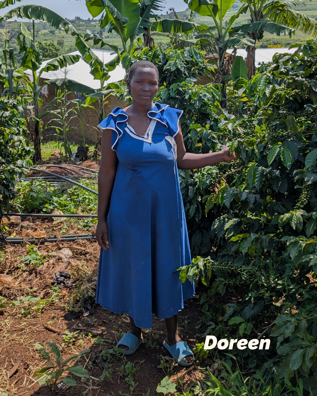 Strong womaen of Kapchorwa (8).png