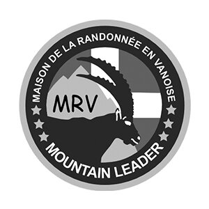 LOGOS-site8.jpg