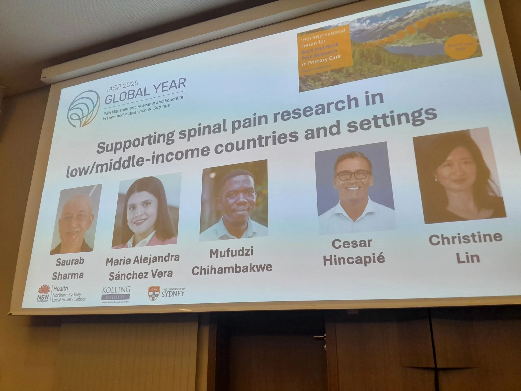 IBNPRF Panel Discussion on Research in LMICs.jpeg