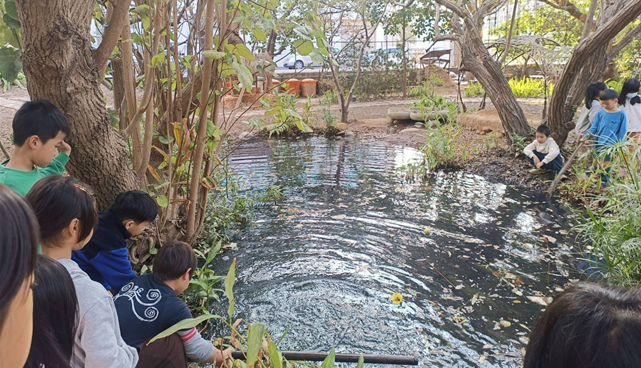 螢幕擷取畫面 2026-01-20 161602.png