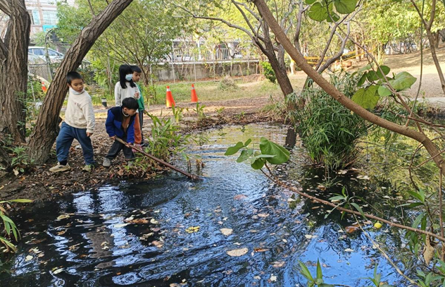 螢幕擷取畫面 2026-01-20 161554.png